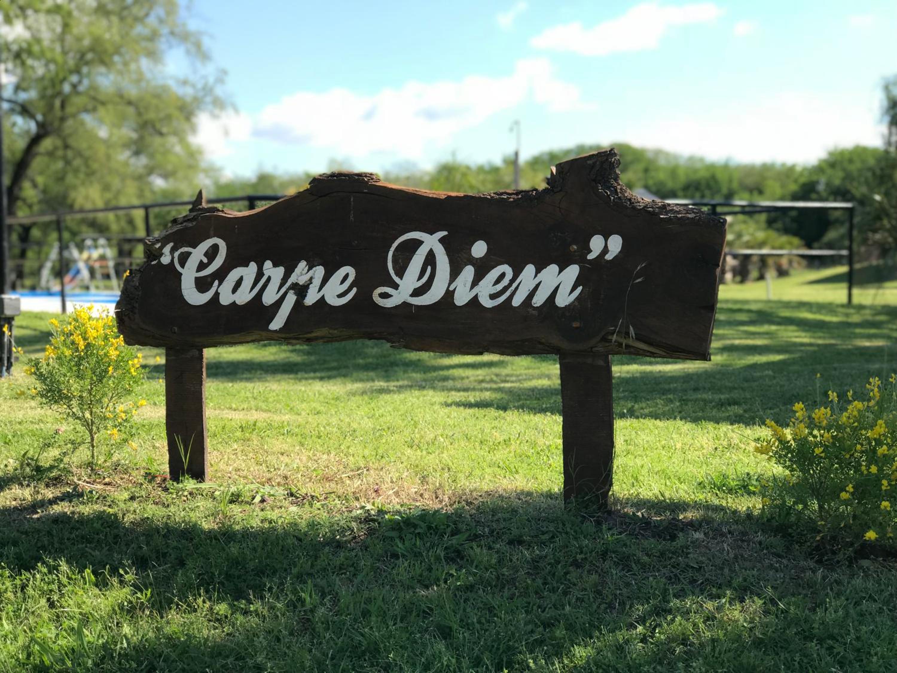 Carpe Diem