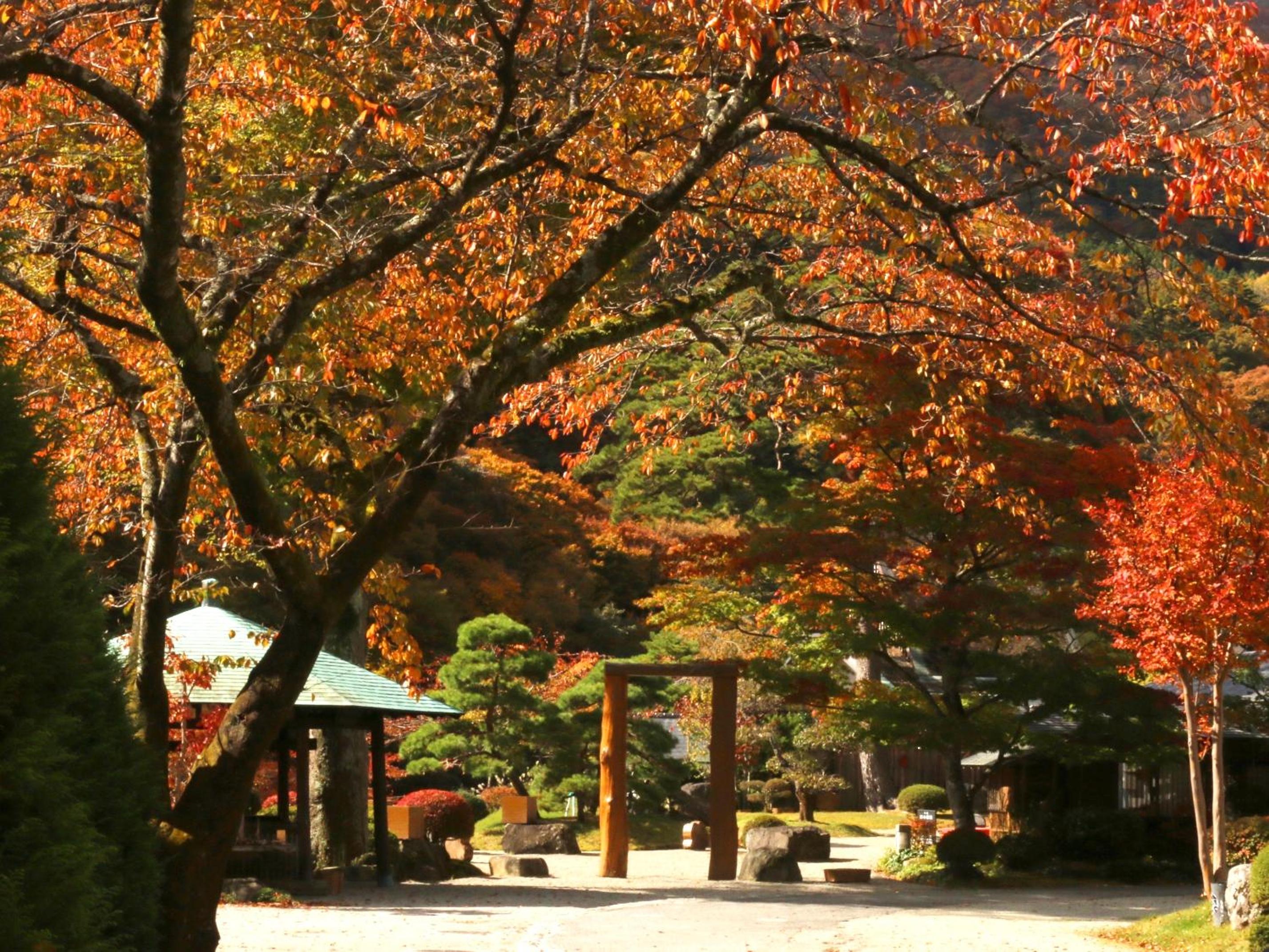 Itamuro Onsen Daikokuya view 4
