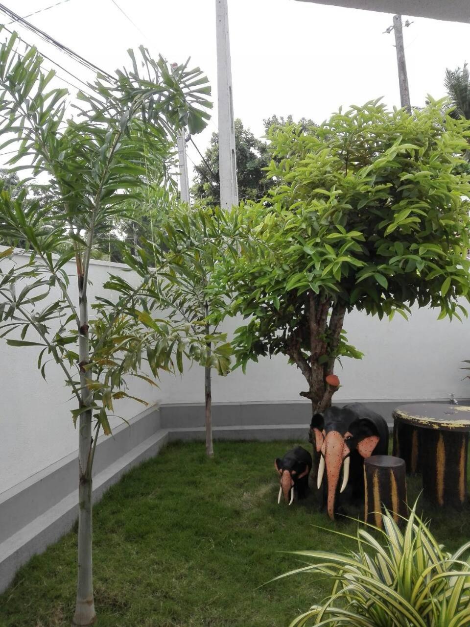 Photo 28