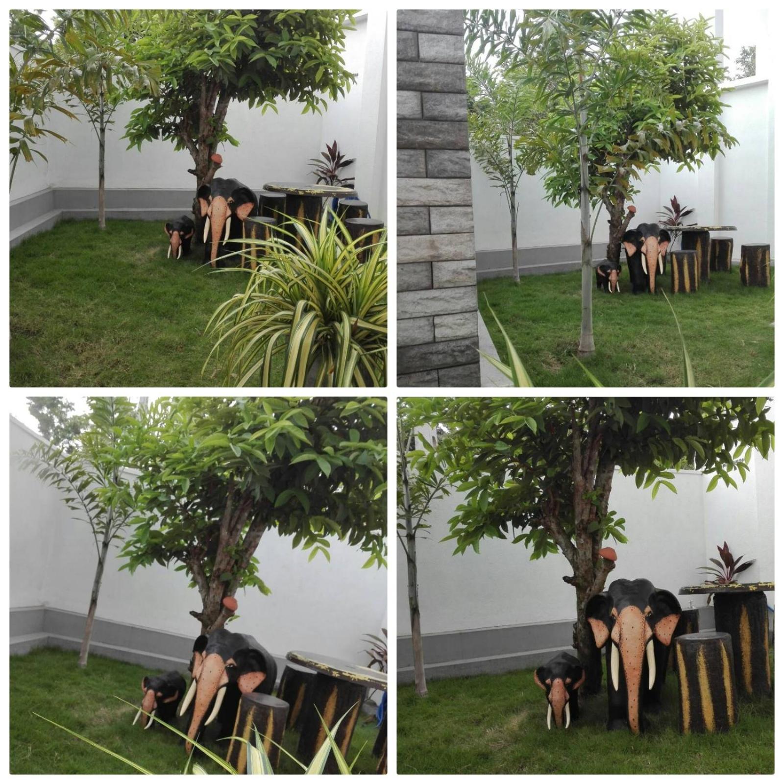 Photo 30