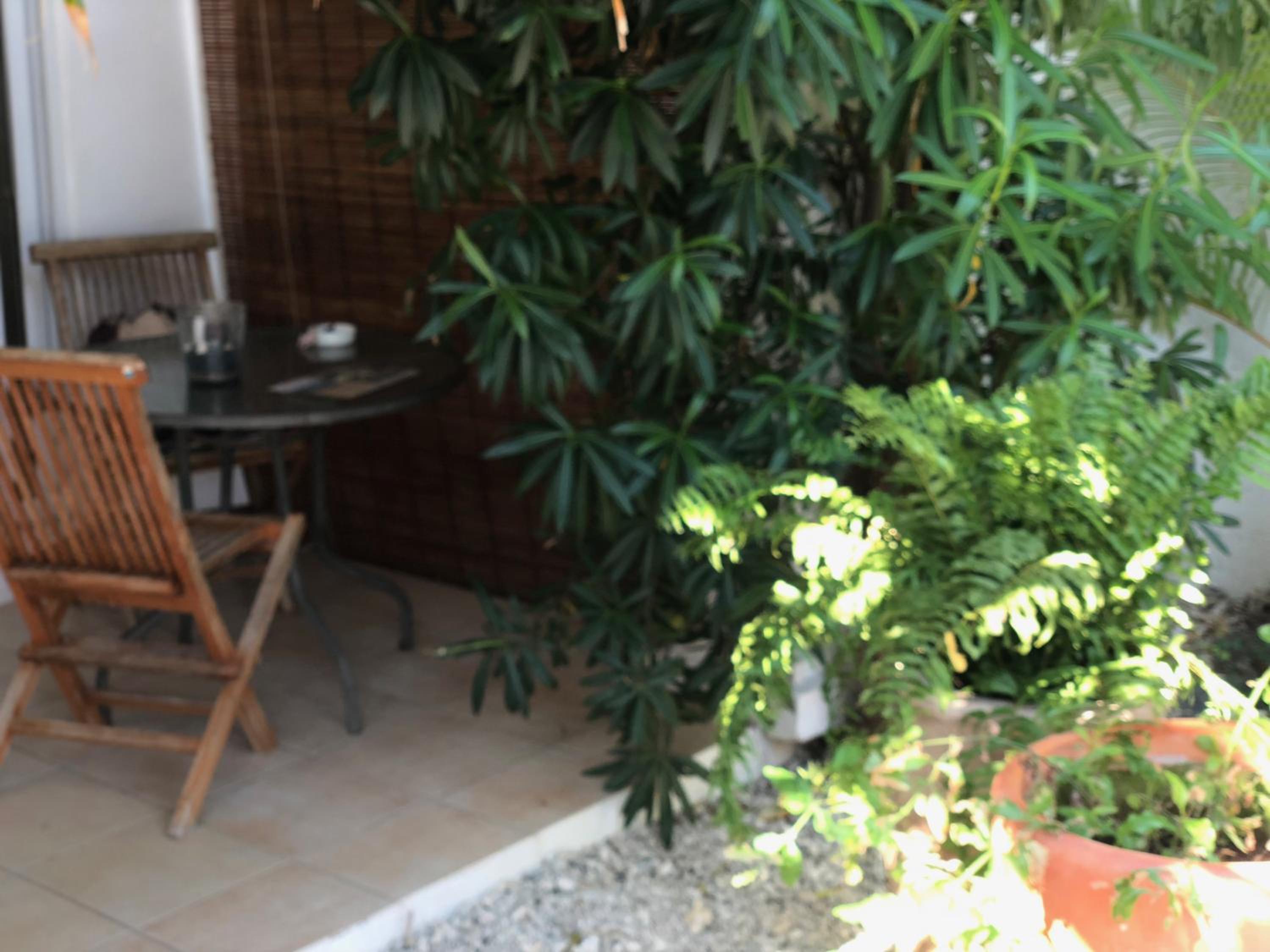 Bungalows Cannelle