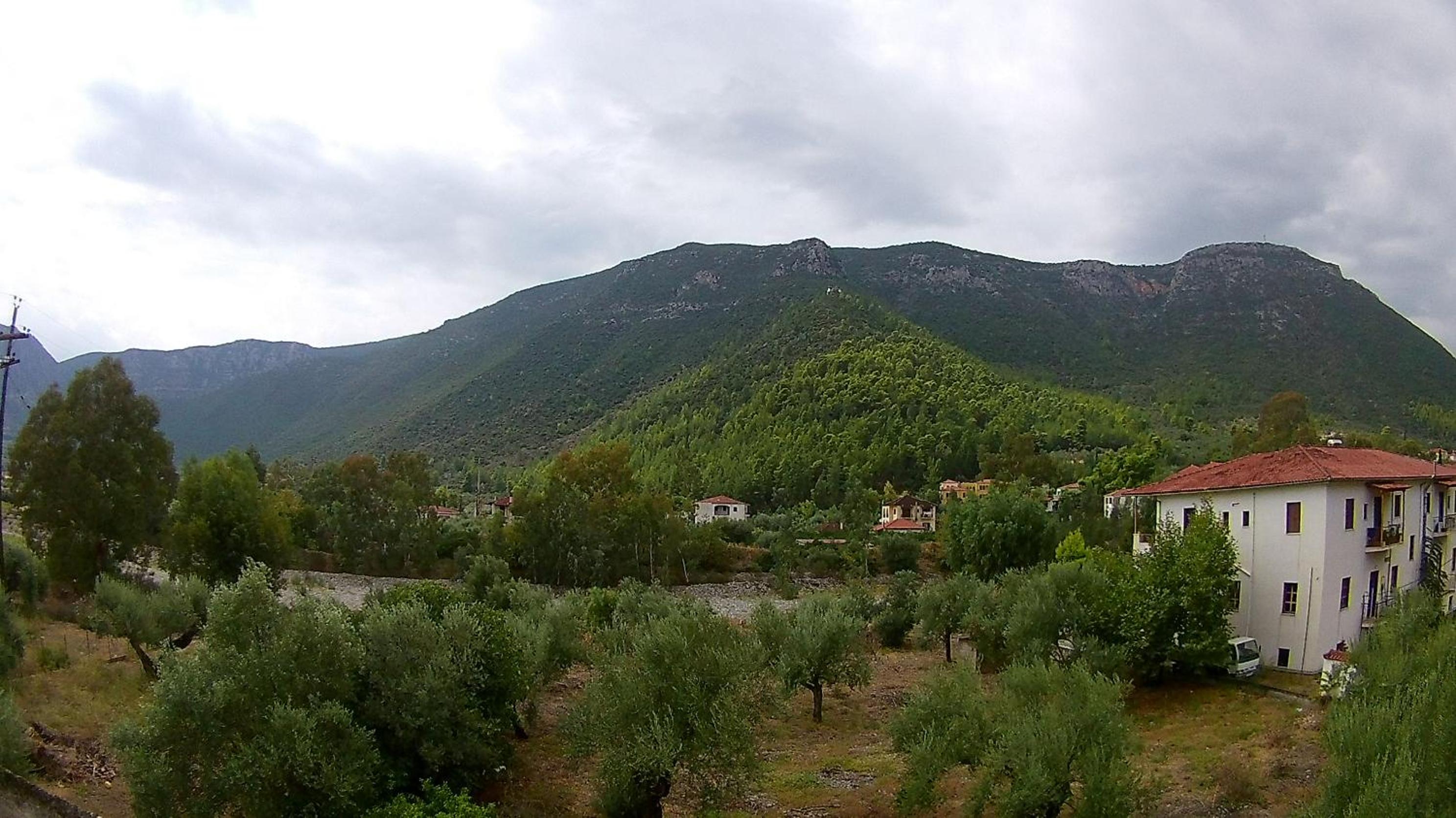 Photo 20
