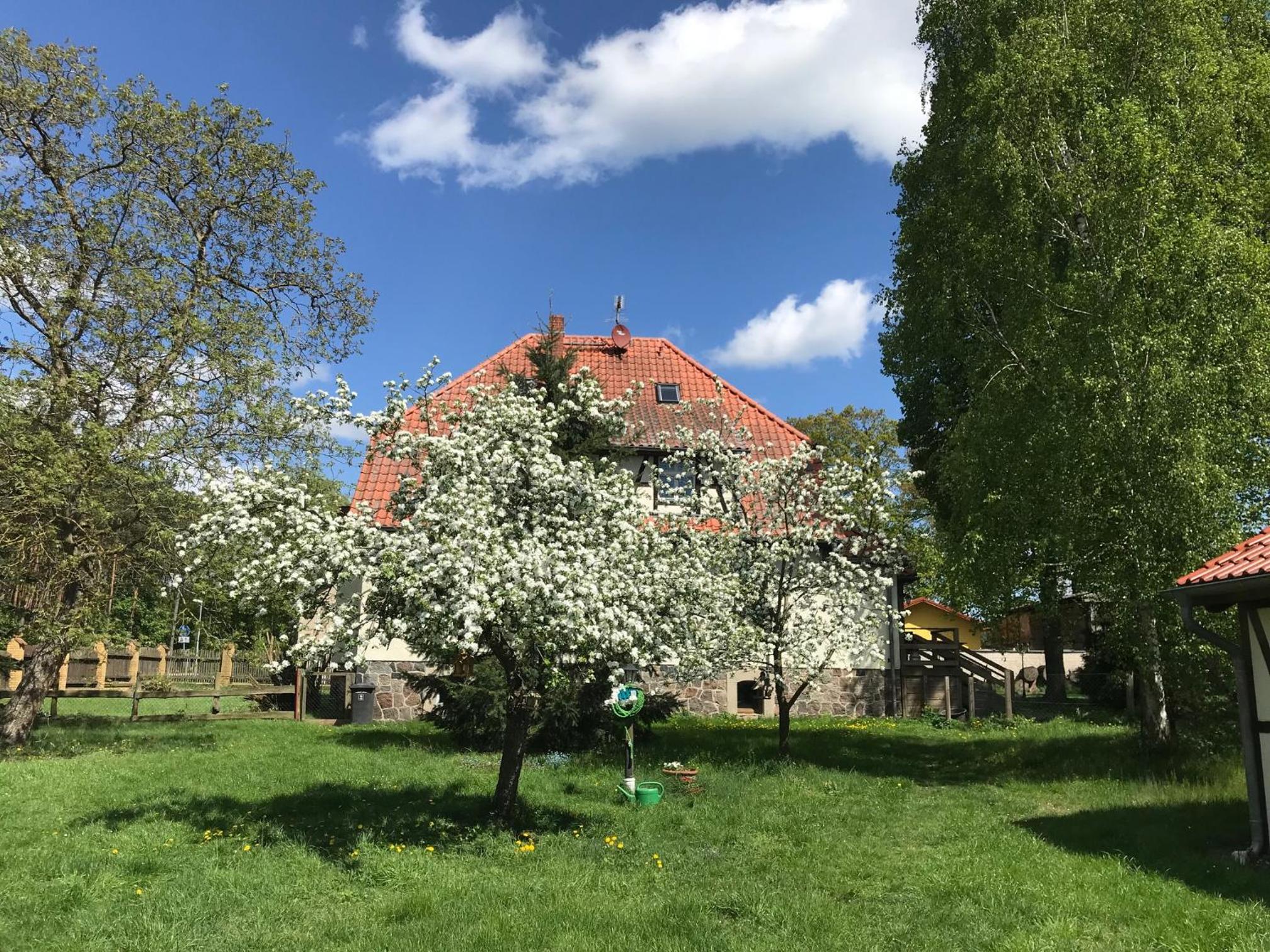 Pferdehof Schorfheide view 5