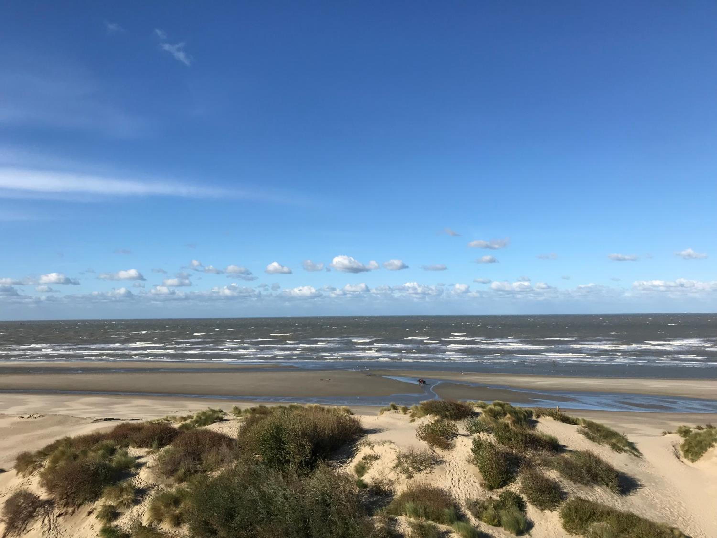 Koksijde Zeedijk Res Manh