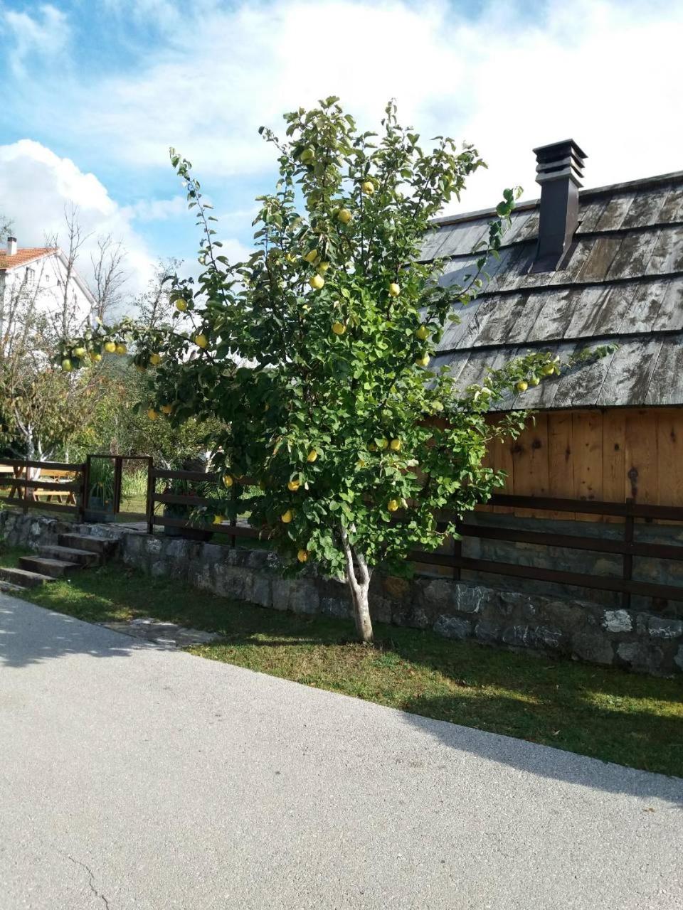 Photo 48