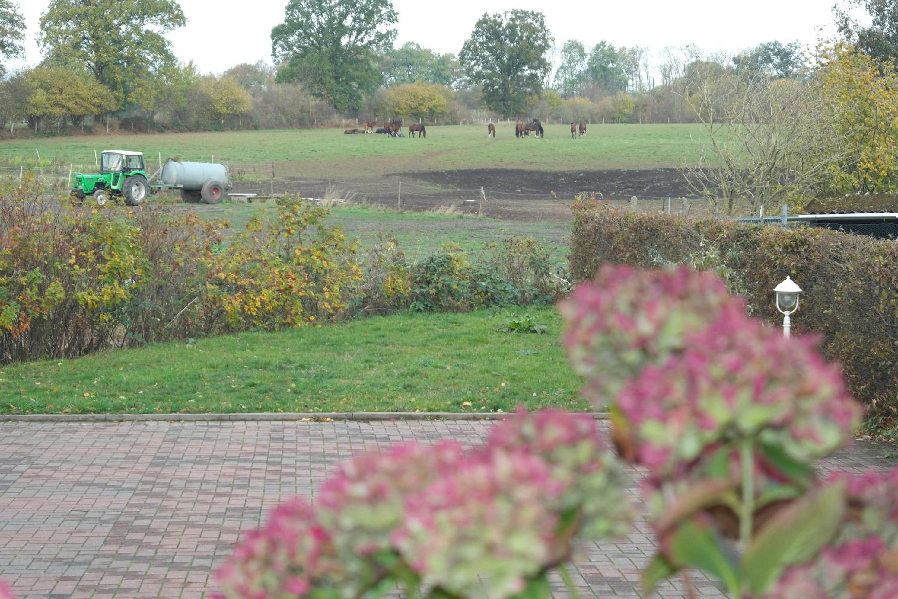 Landhaus Hammoor - Property Image 46