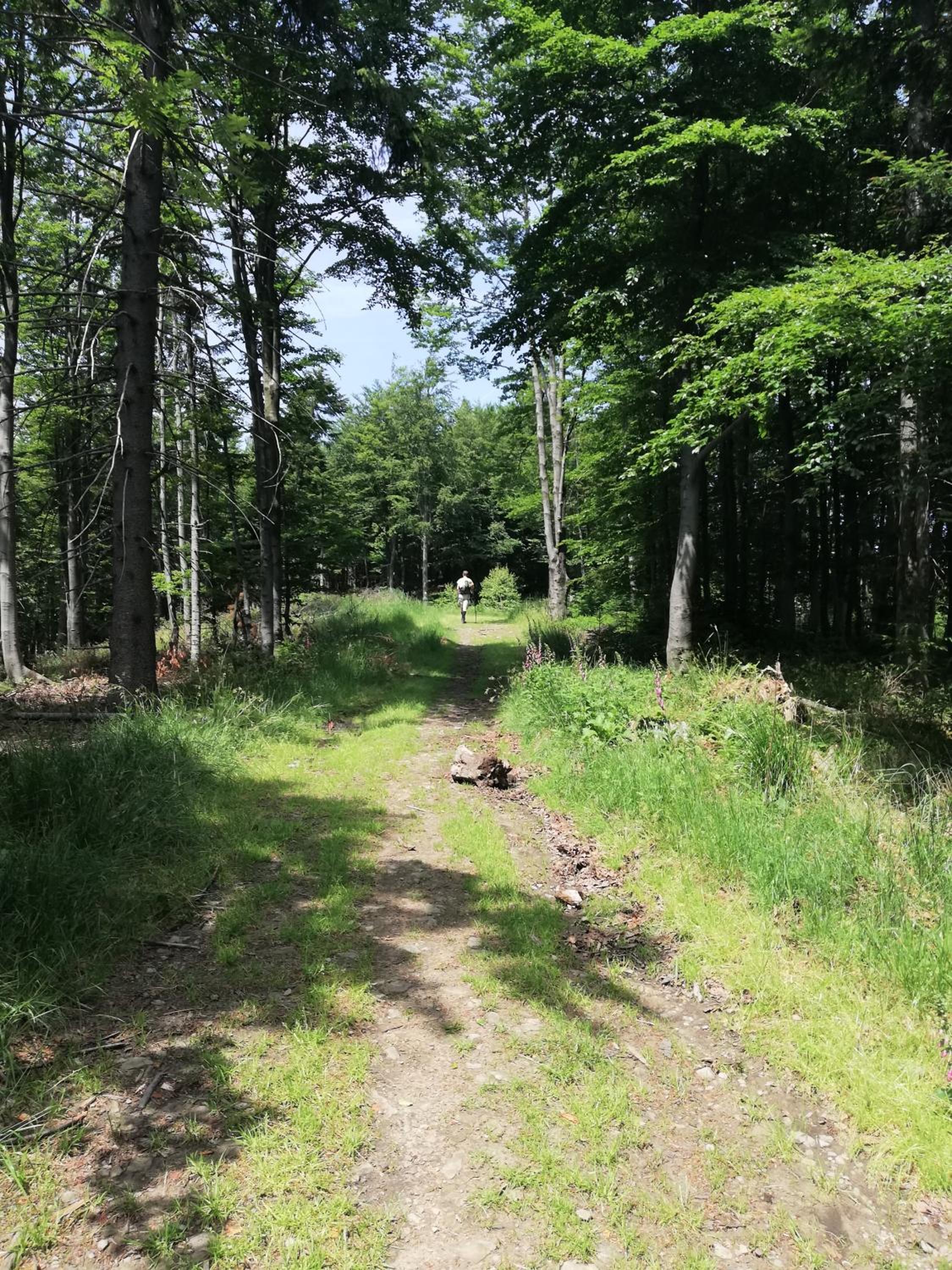 Photo 59
