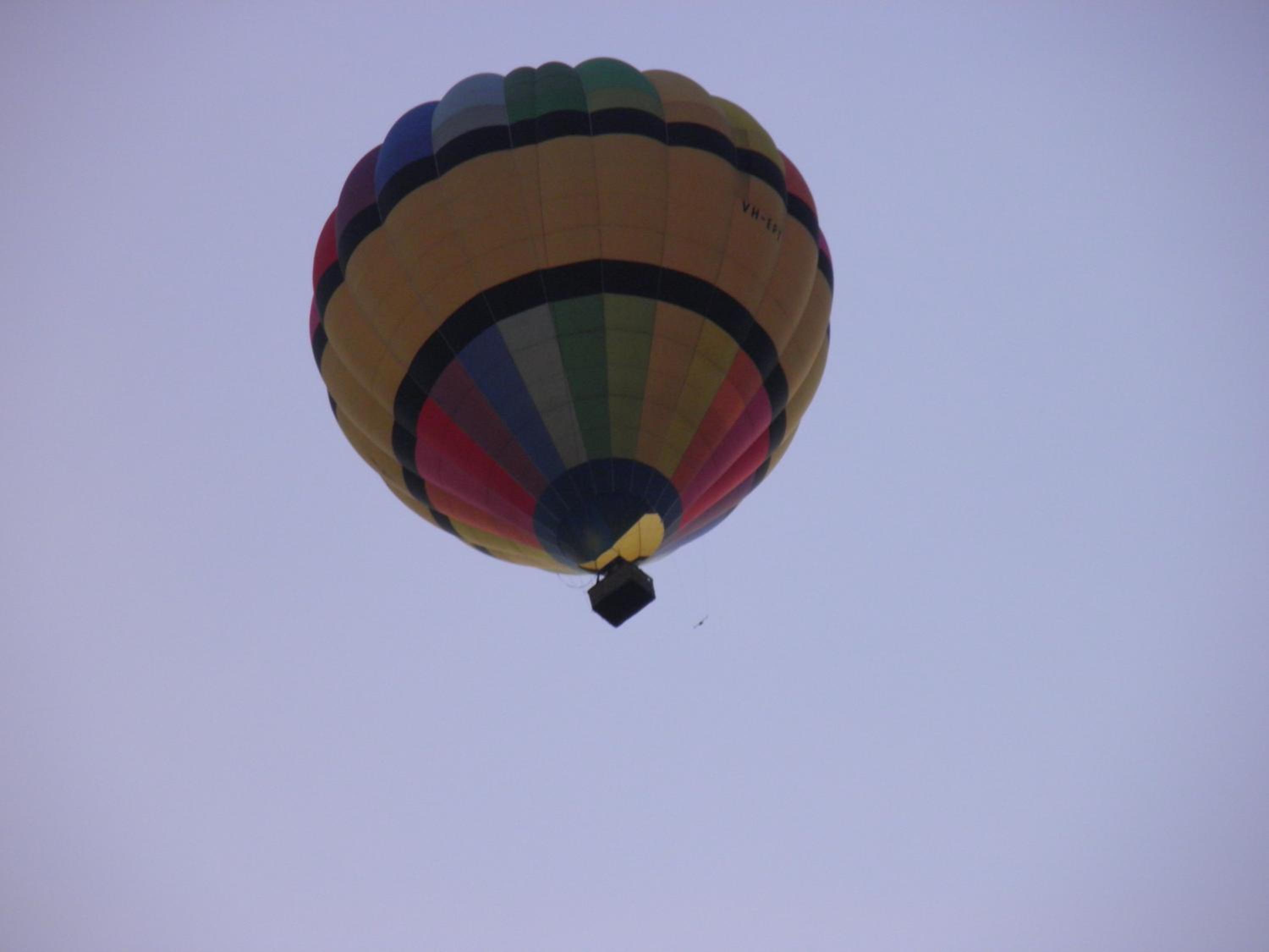 Photo 41