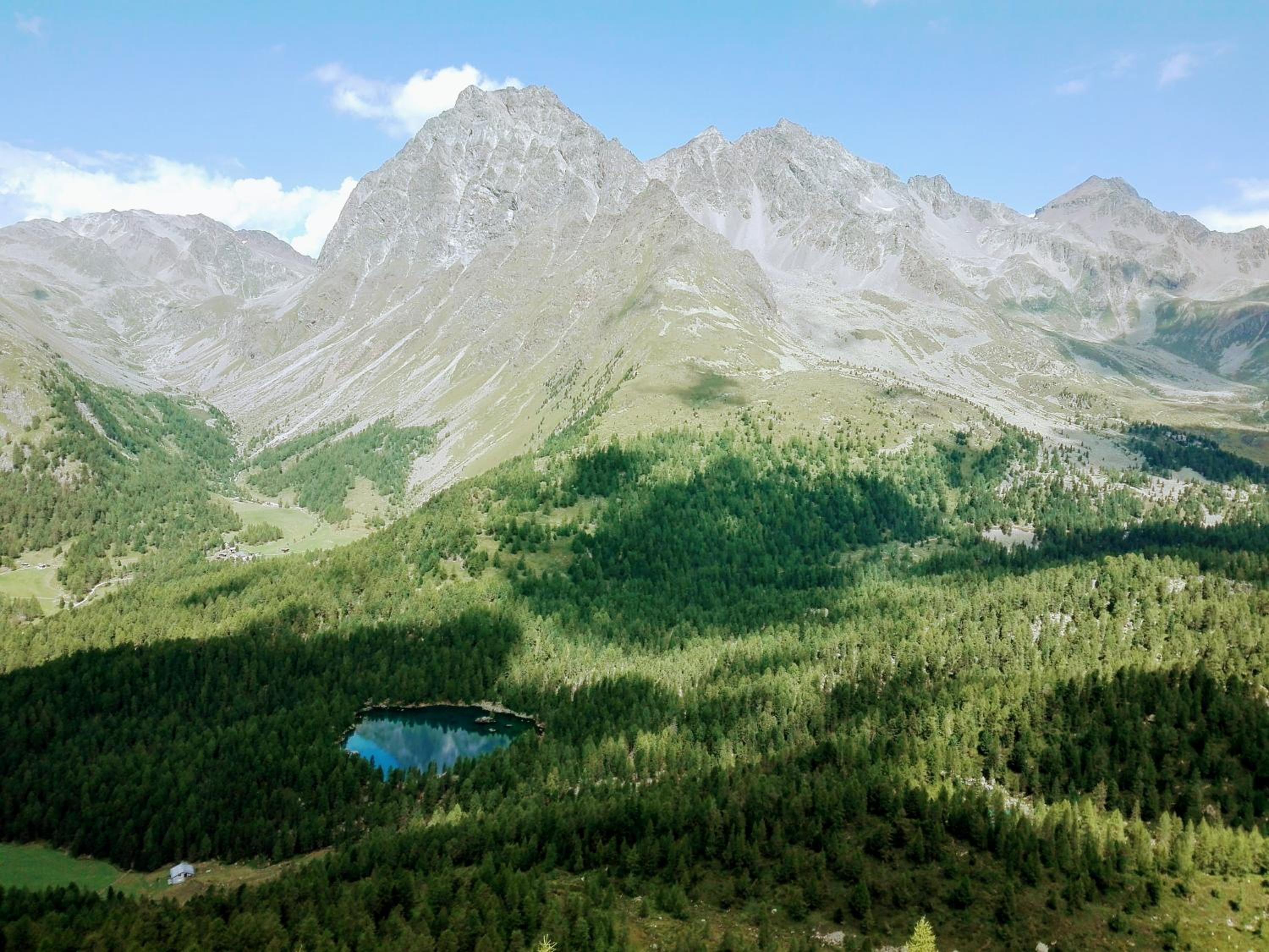 Photo 42