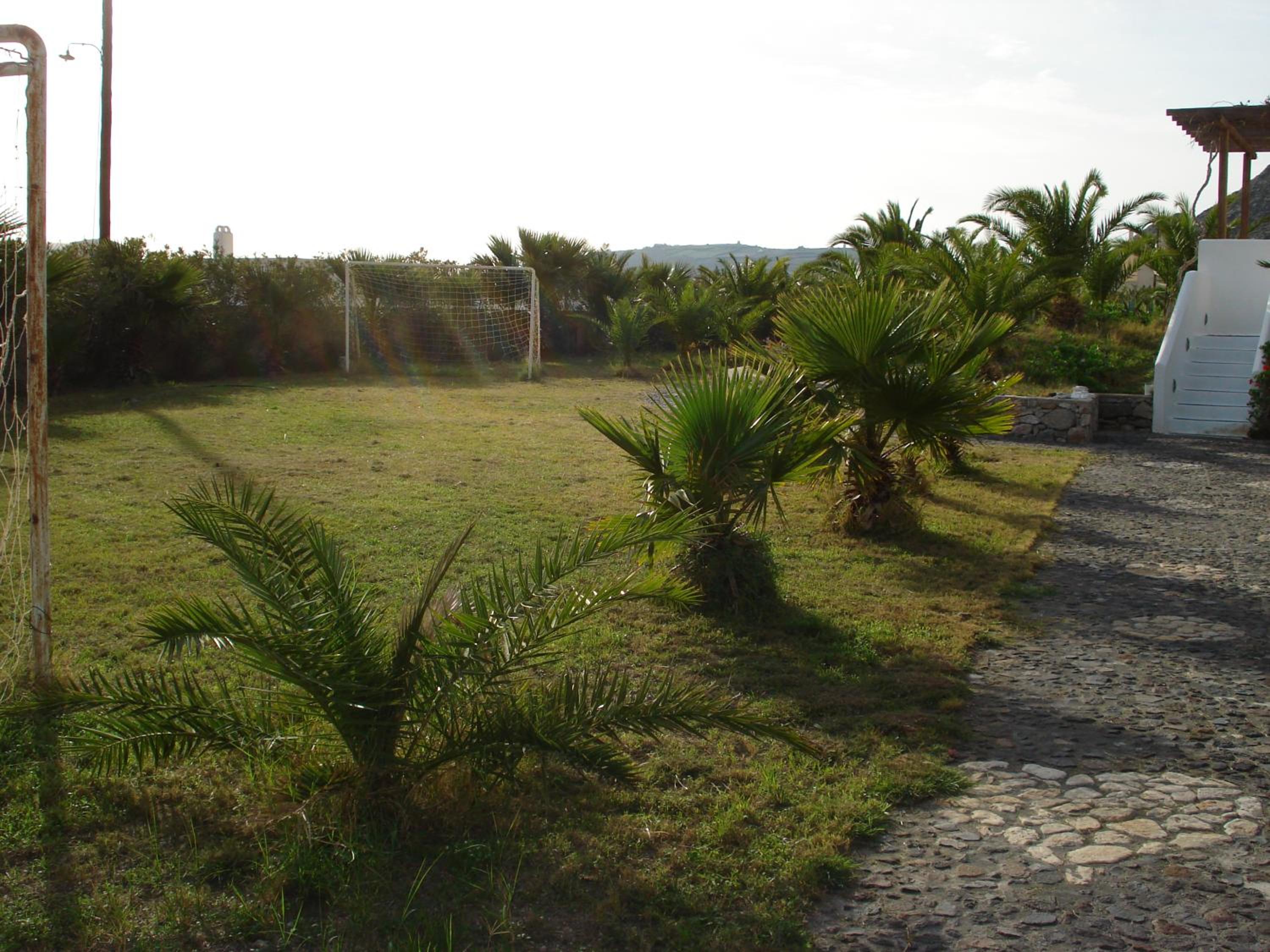 Photo 50