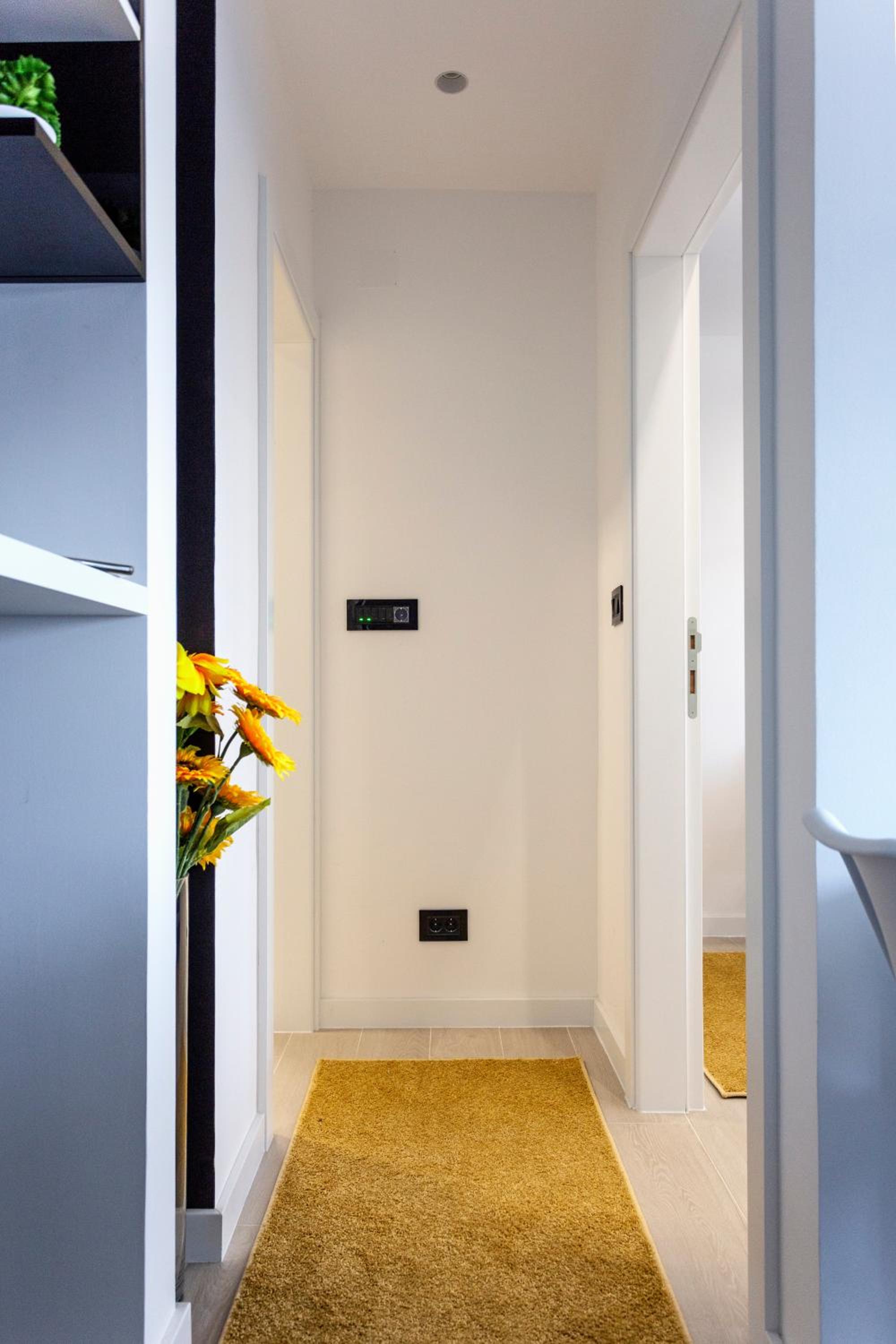 Park Apartment view 5