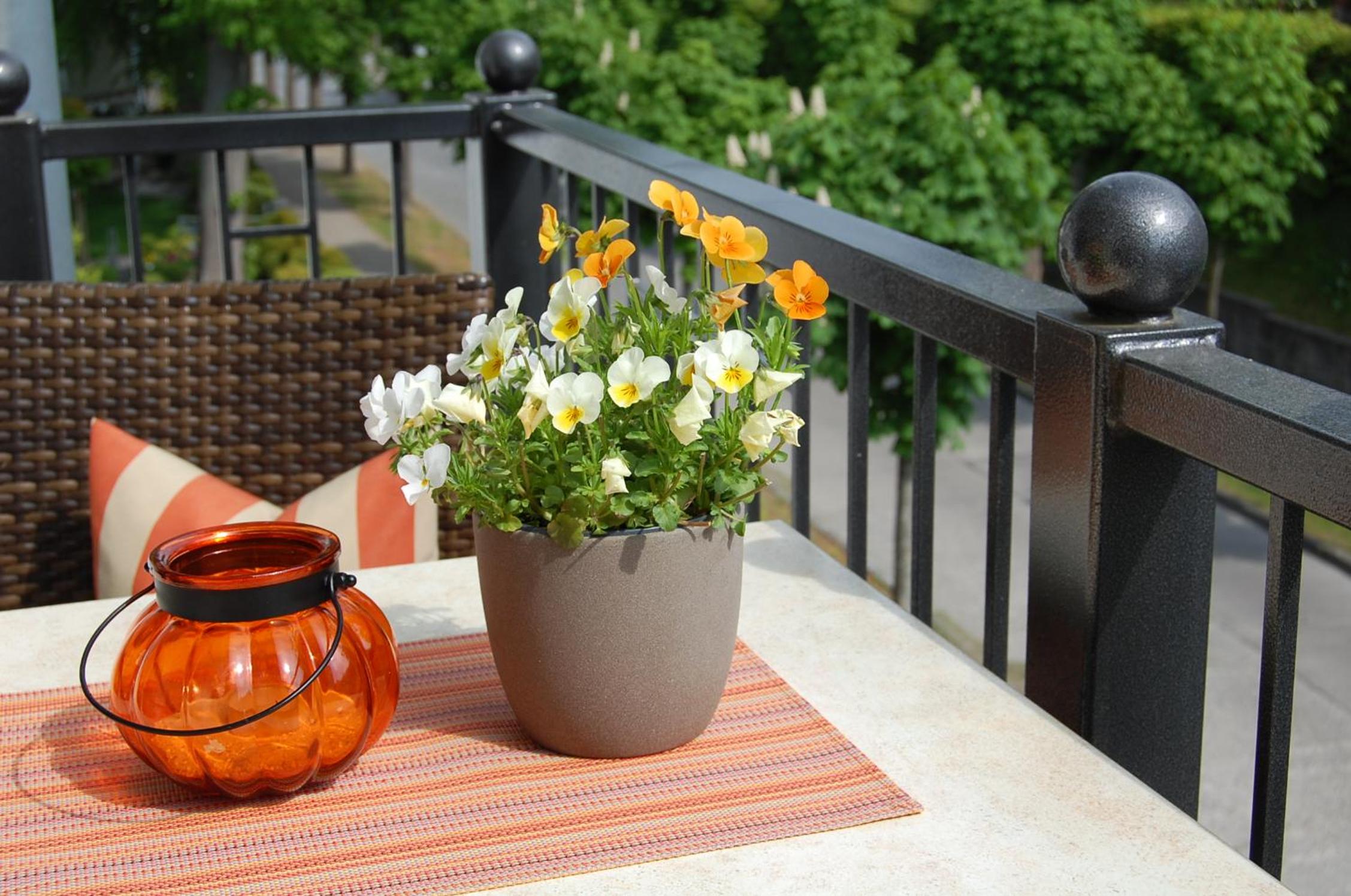 Pension Sanddorn mit Café Carlssons