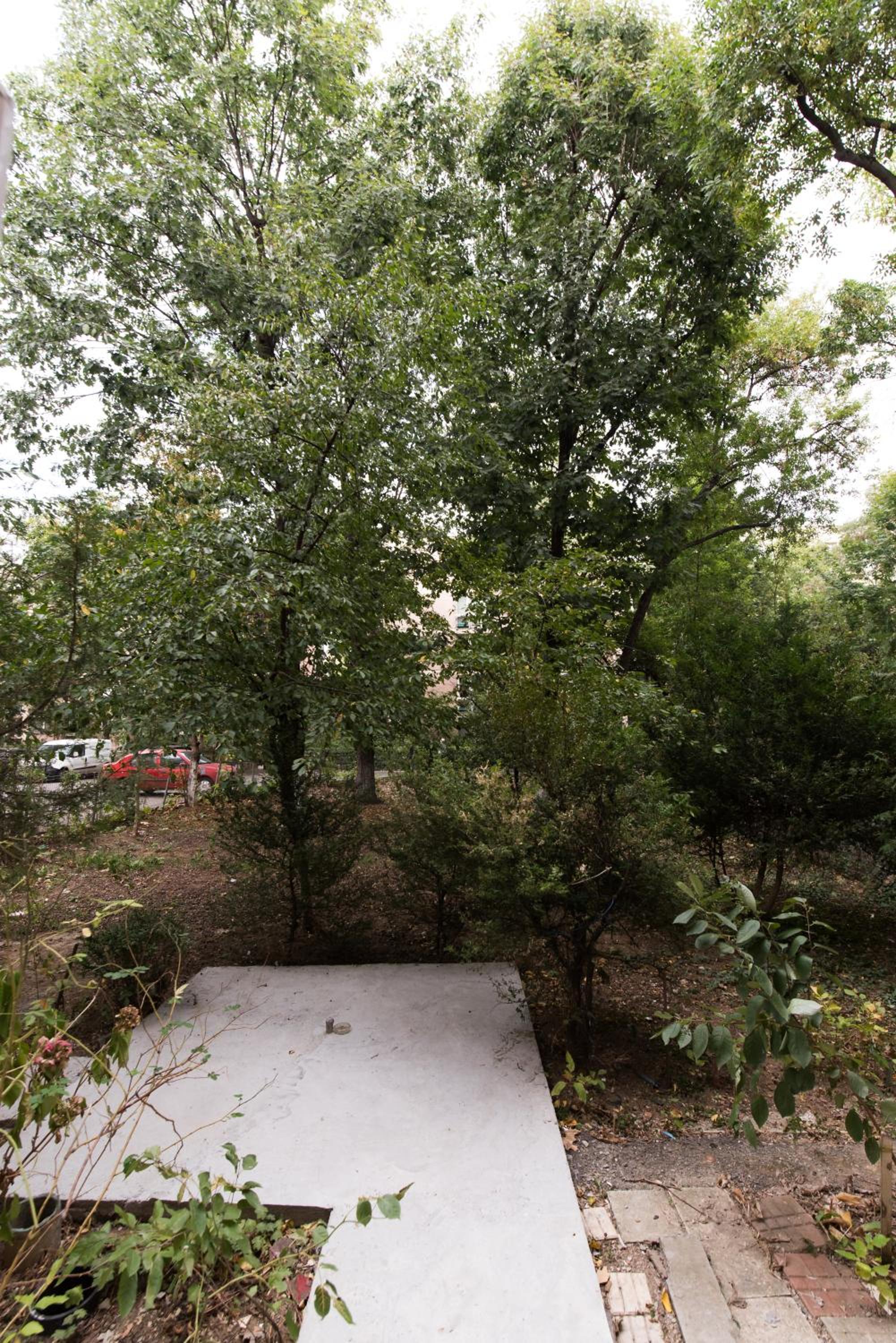 Photo 29