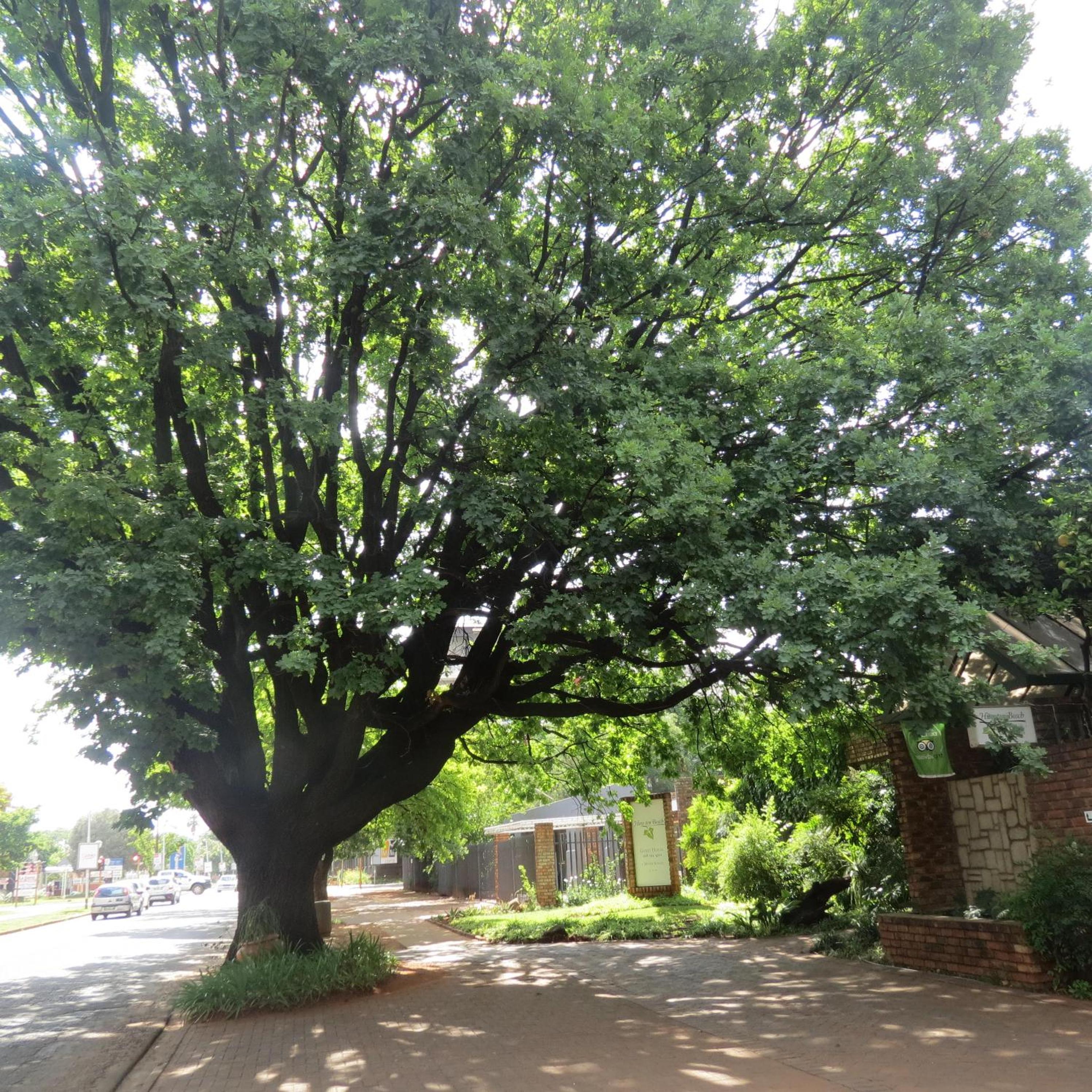 Photo 48