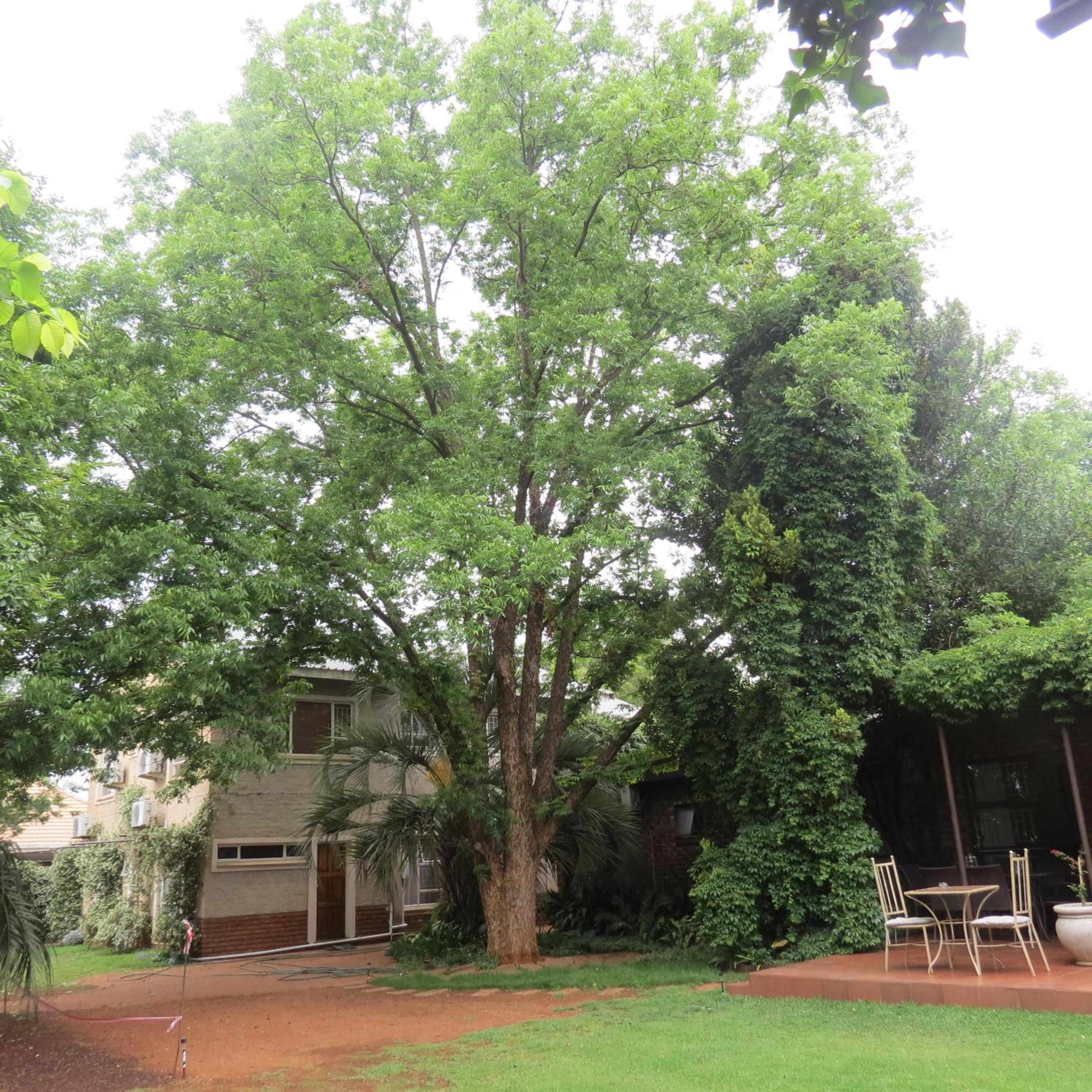 Photo 47