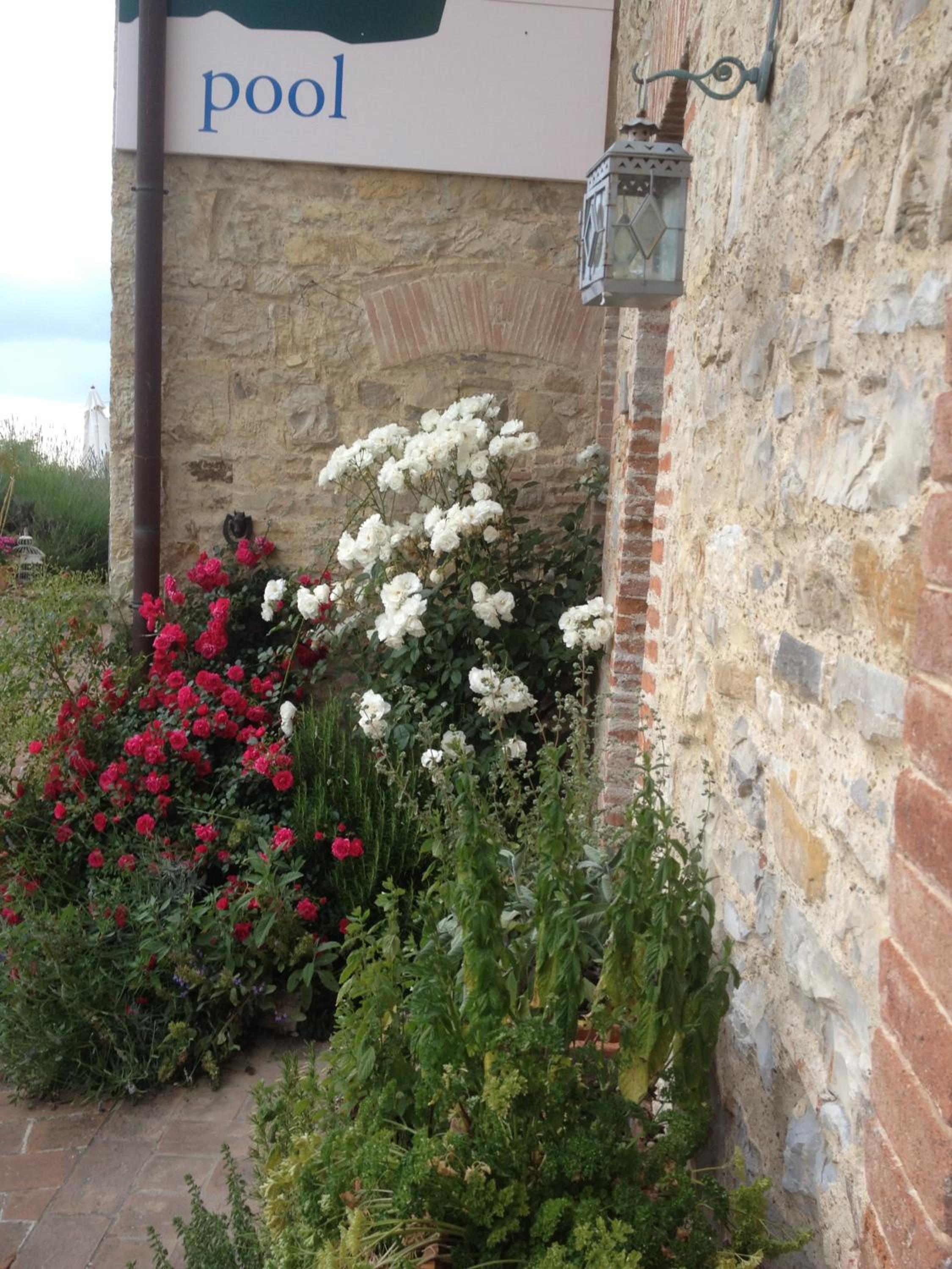 Residenzia Del Sogno