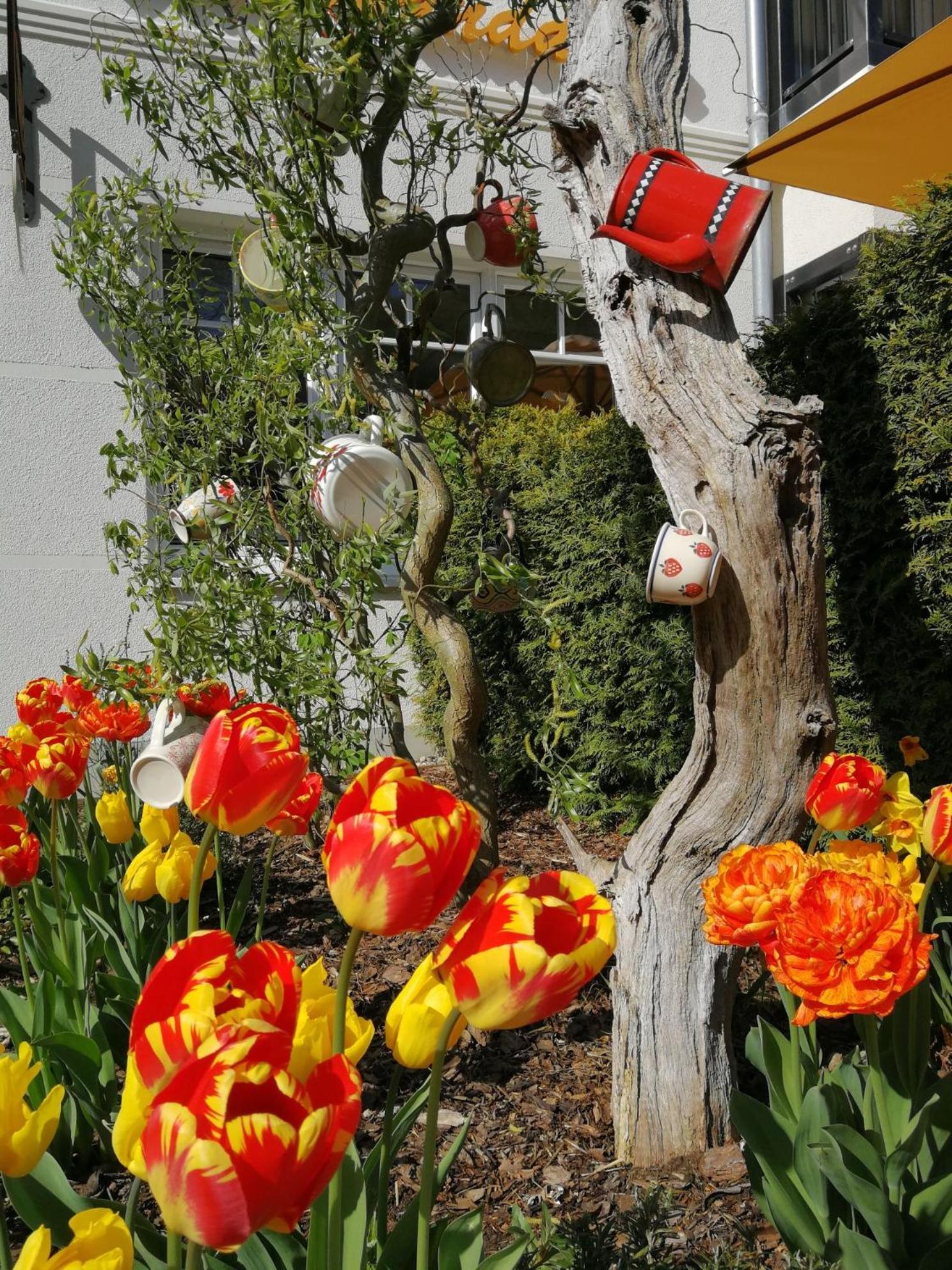 Pension Sanddorn mit Café Carlssons