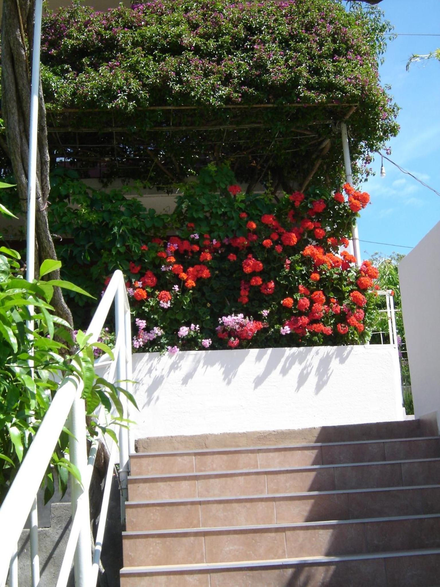 Apartmani LuNa