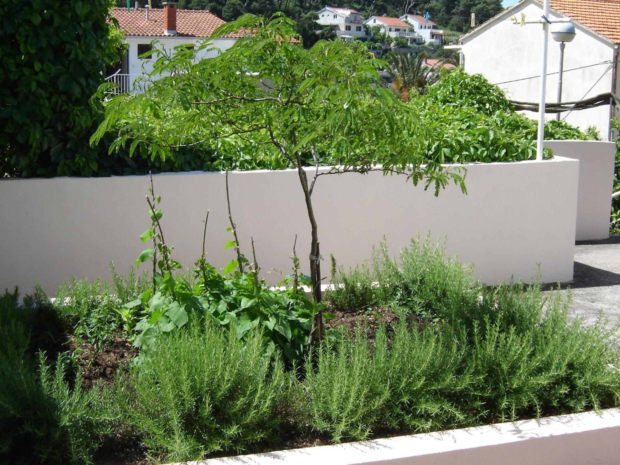 Apartmani LuNa