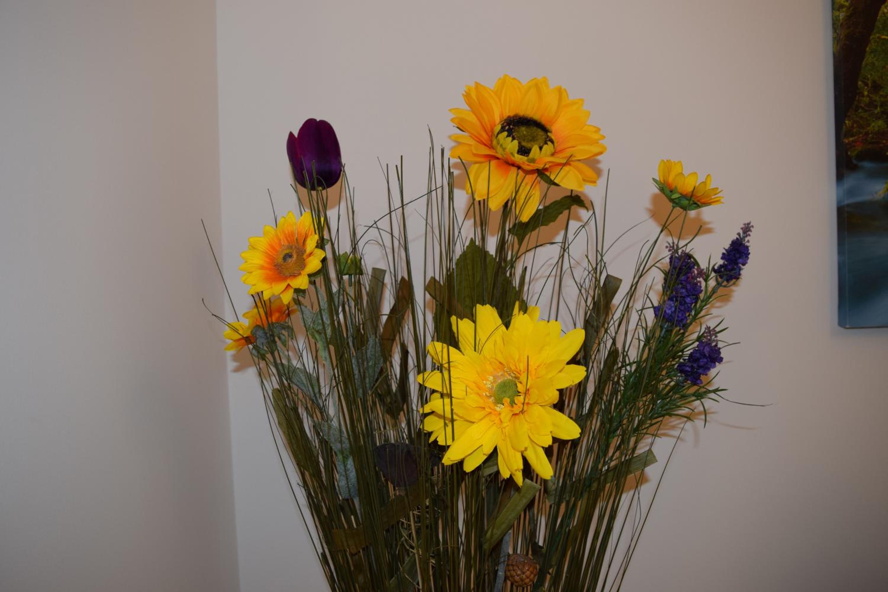 Photo 28