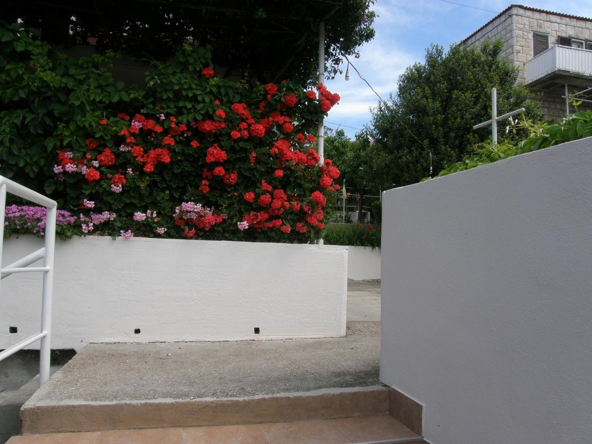 Apartmani LuNa