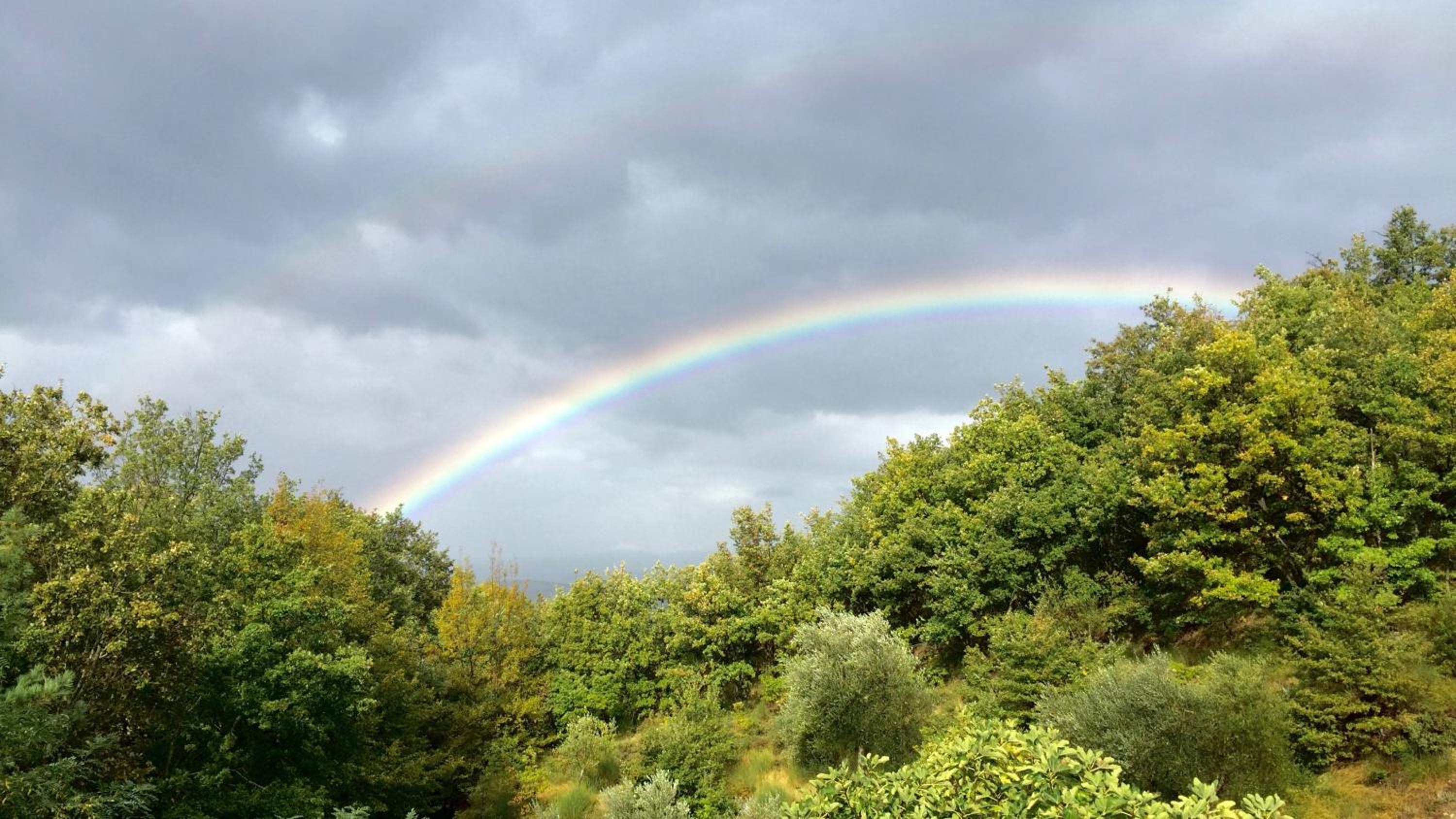 Le Case Della Buca Agriturismo ed Agricampeggio