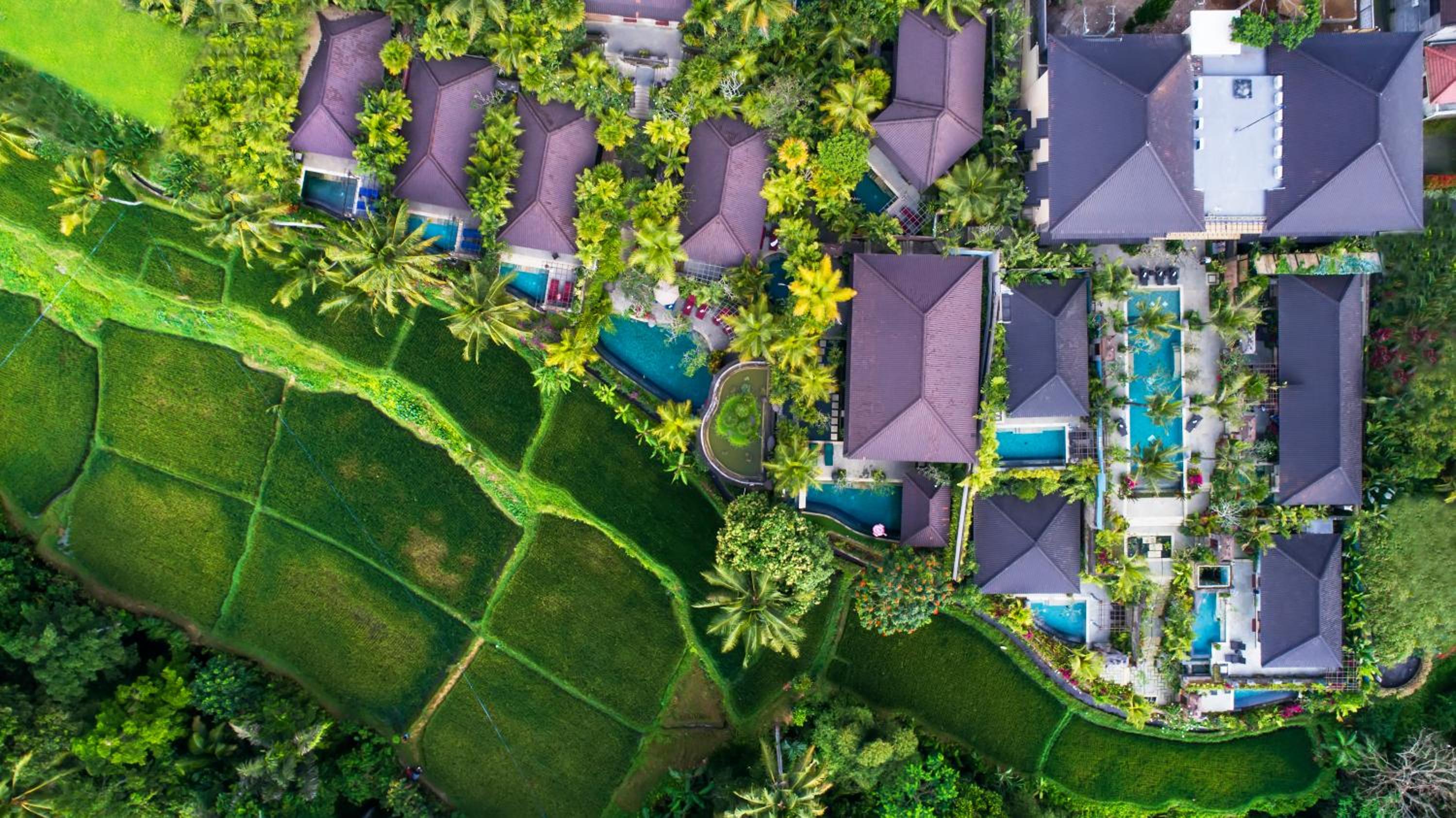 Hotel Dwaraka The Royal Villas