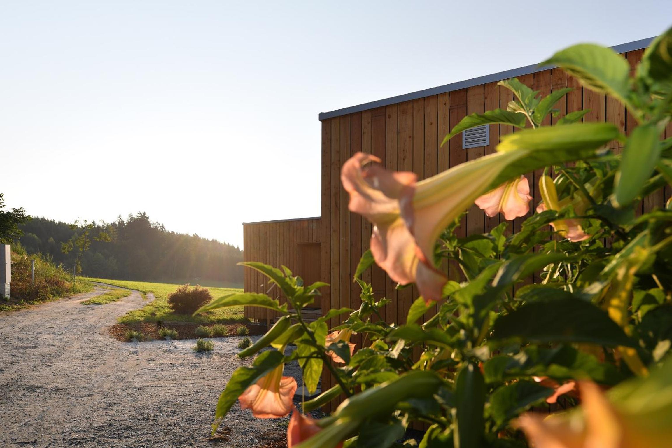 roo'n Lodges#KOLM