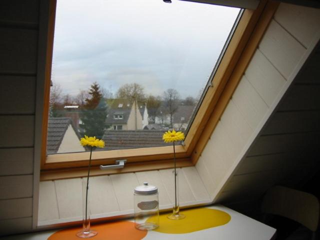 Photo 37