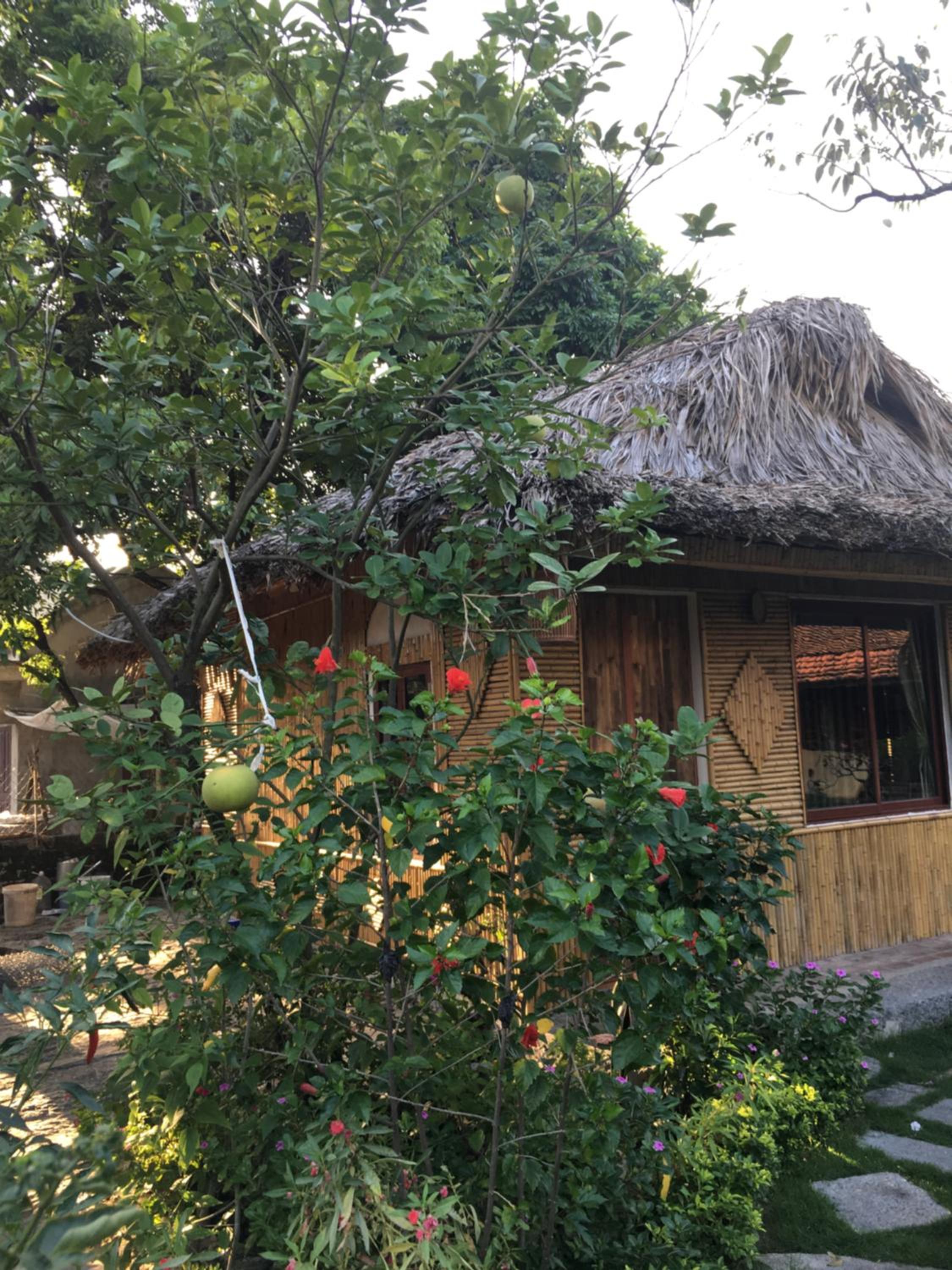 Tam Coc Palm House