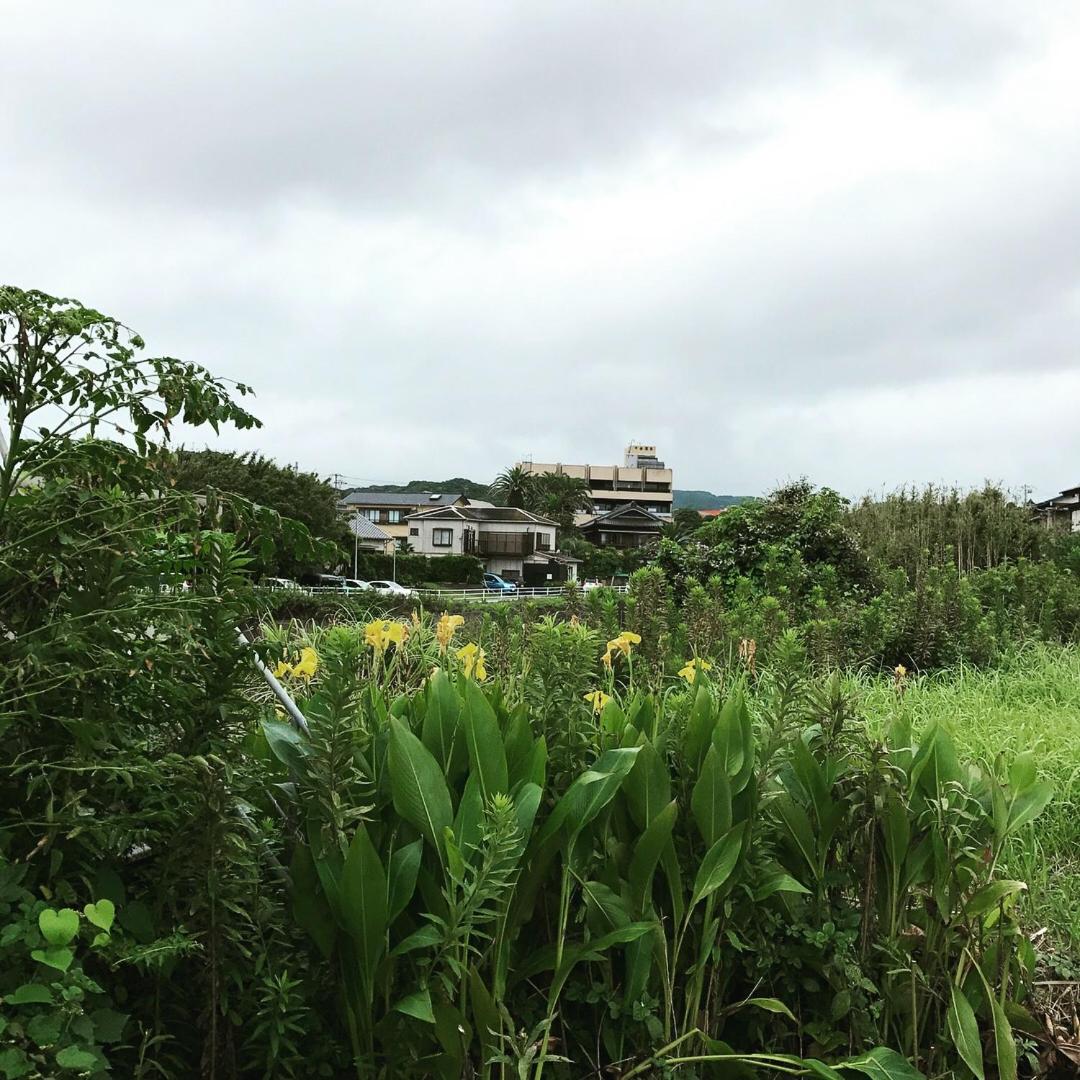 Chikurakan