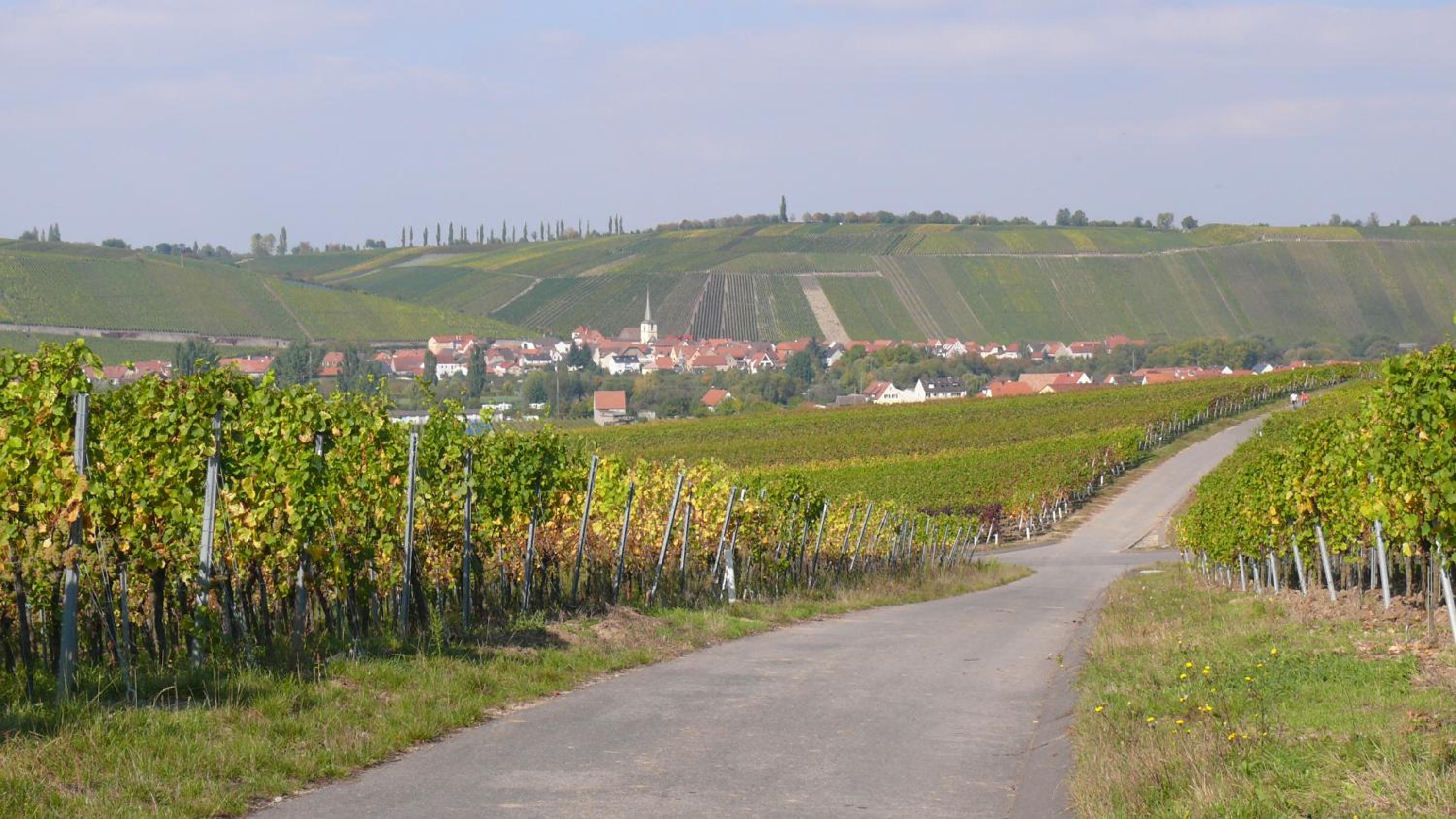 Weingut Herbert Kram