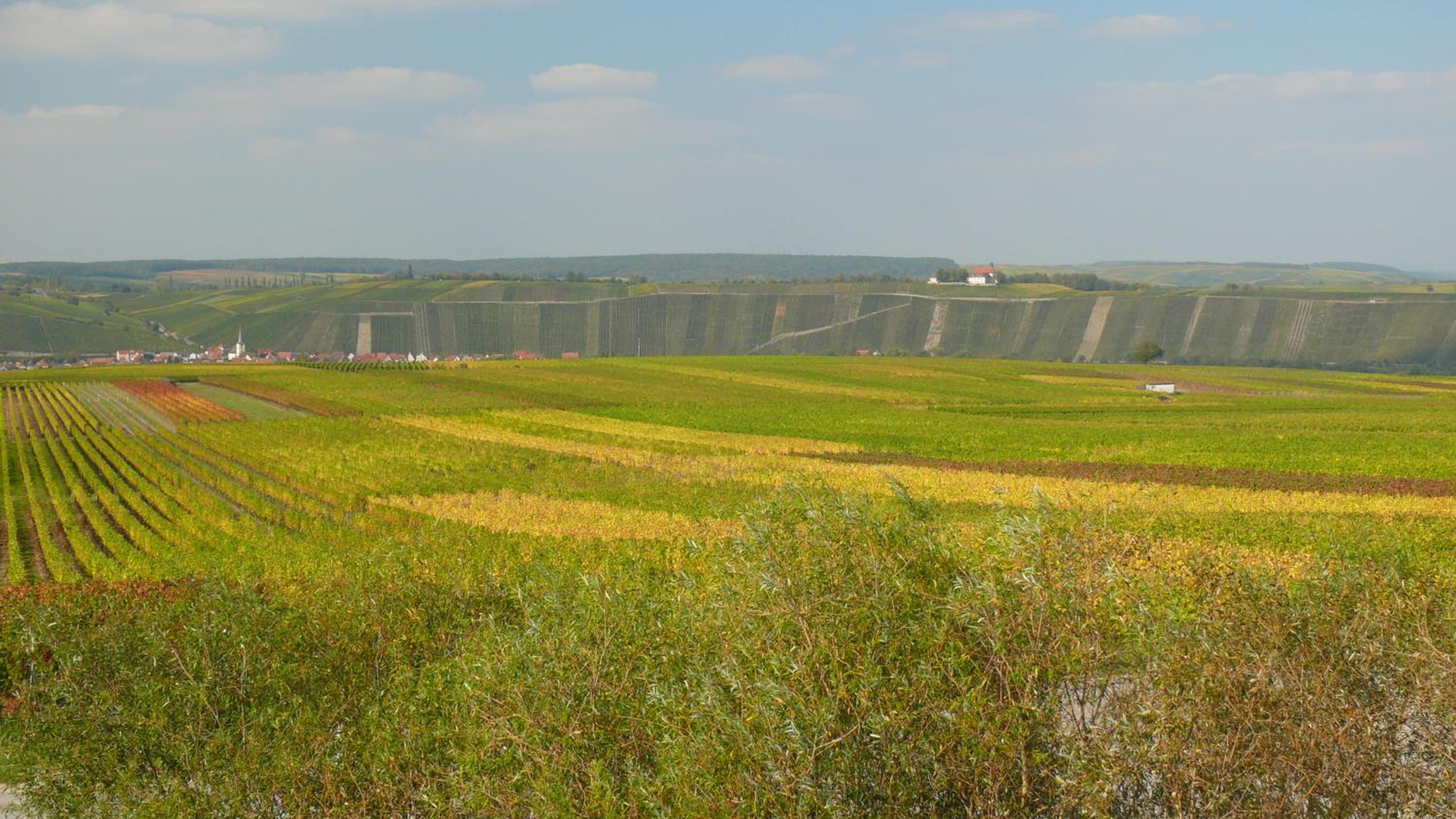 Weingut Herbert Kram