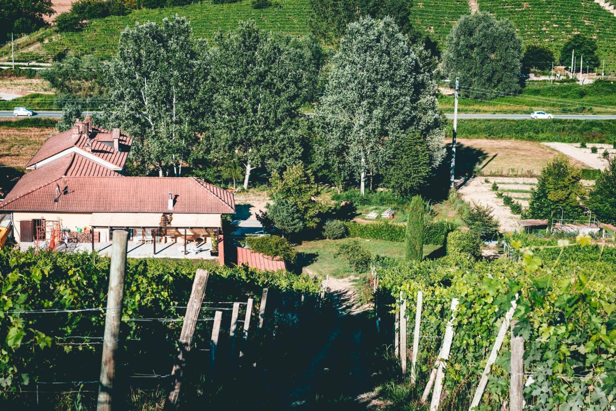 Agriturismo Dacapo view 2