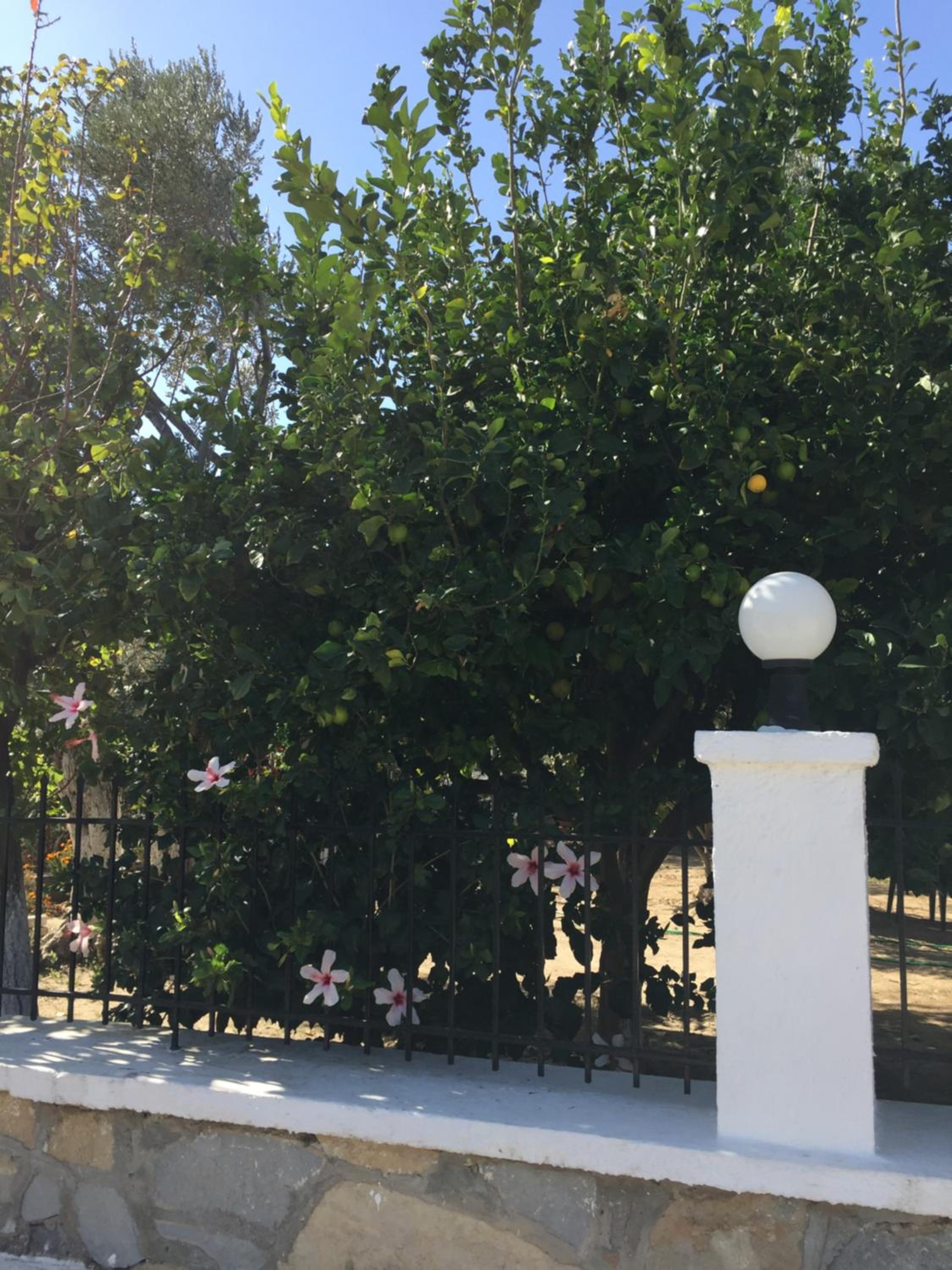 Photo 21