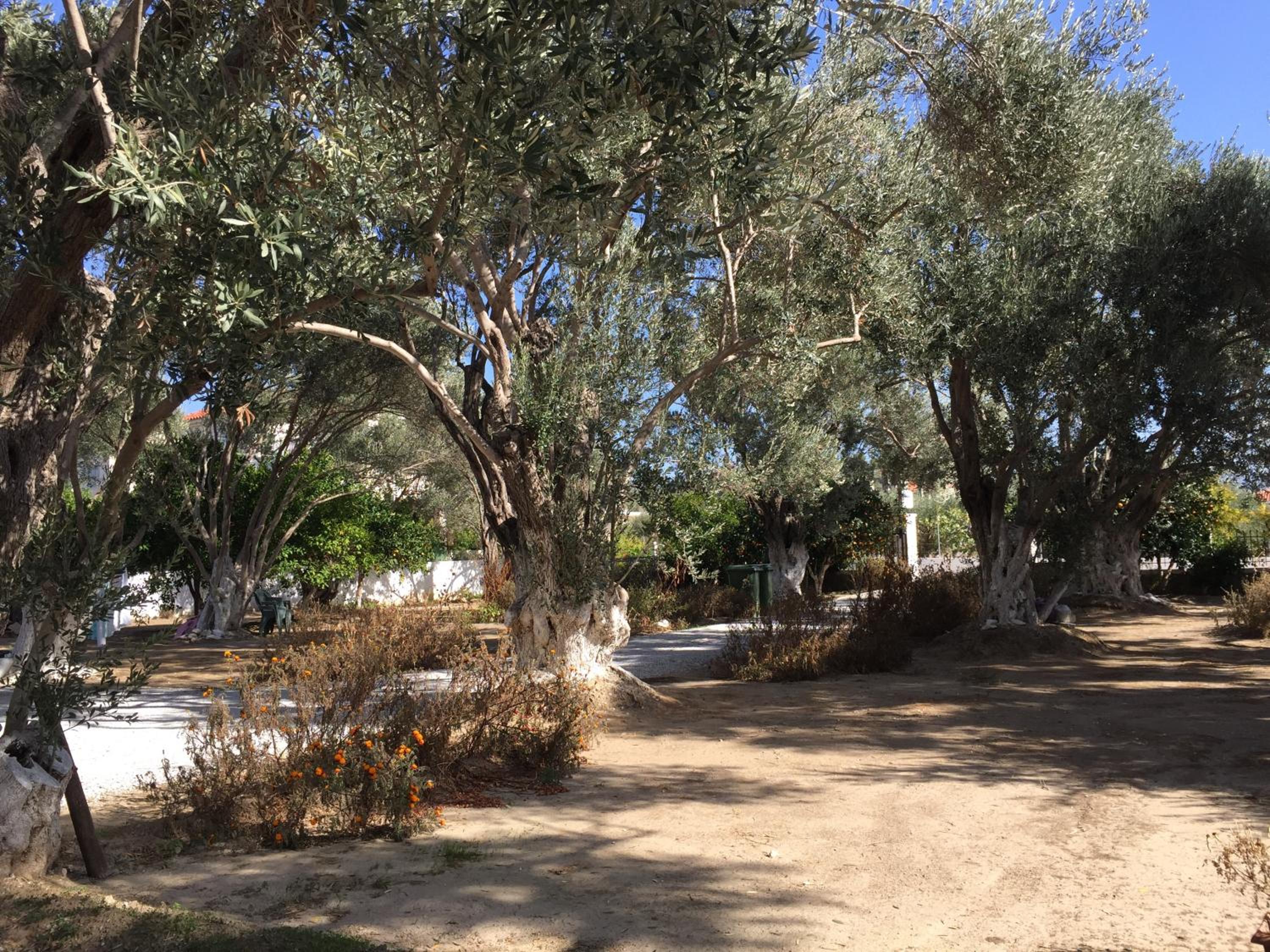 Photo 20