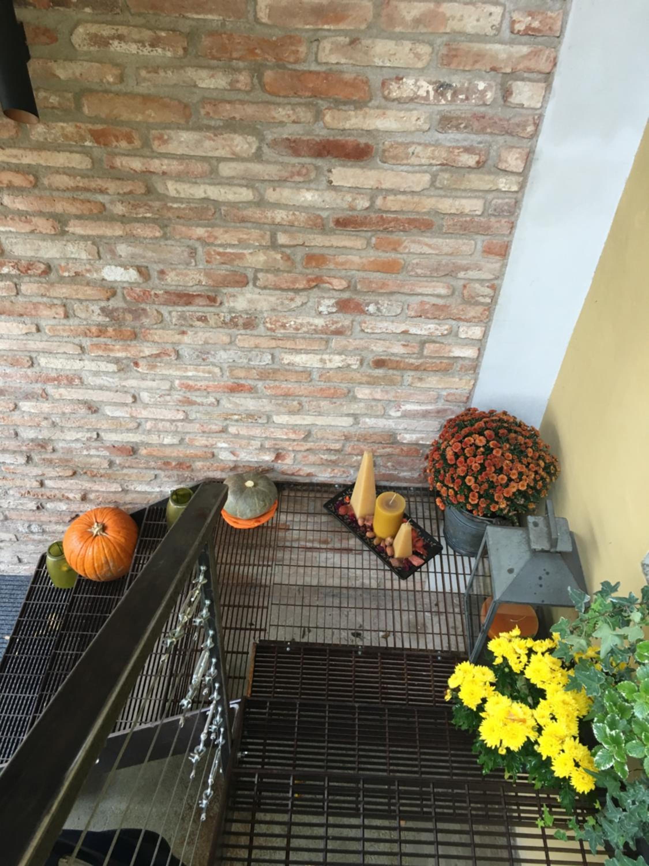 Photo 53