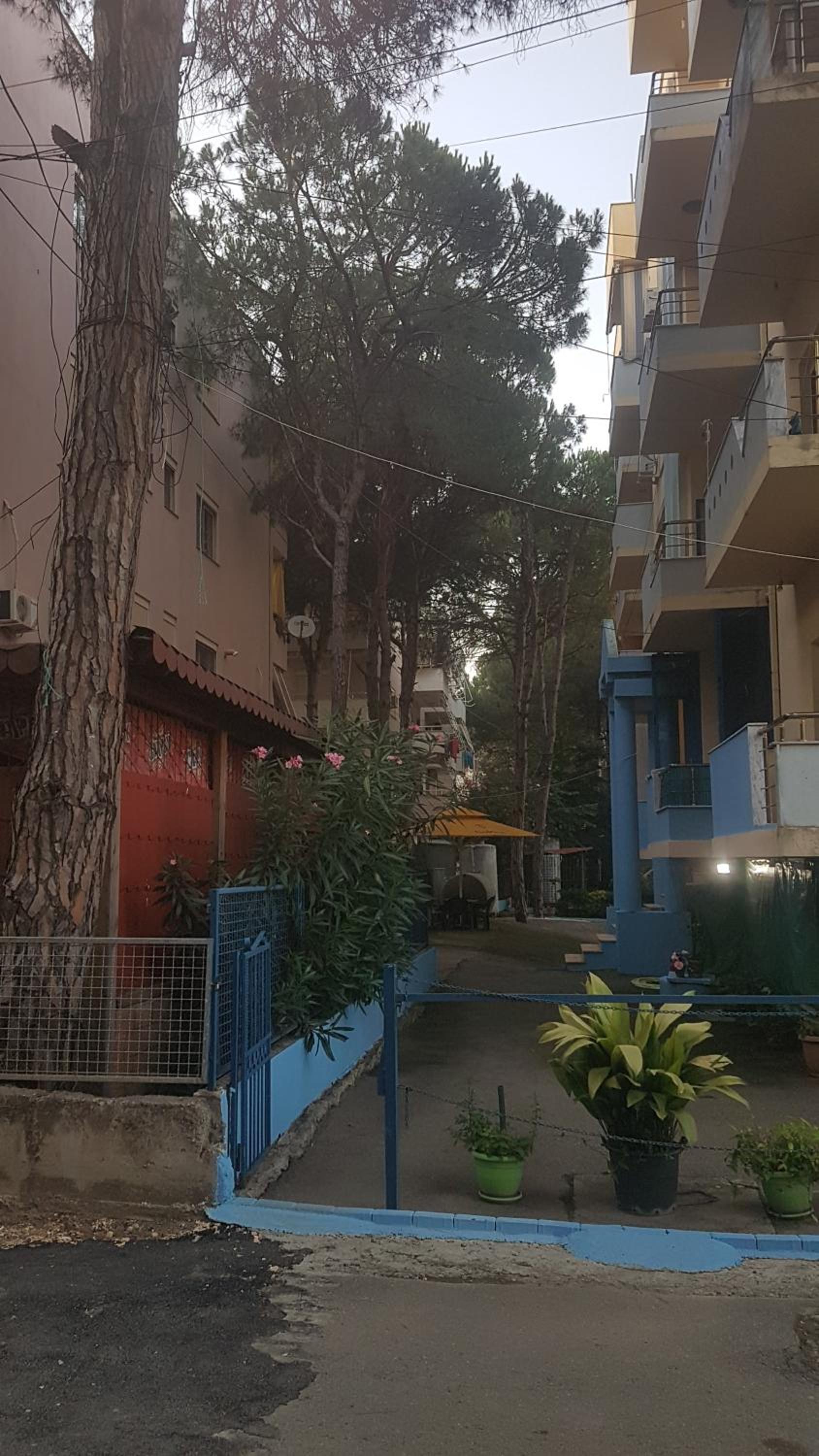 Lovely Apartment