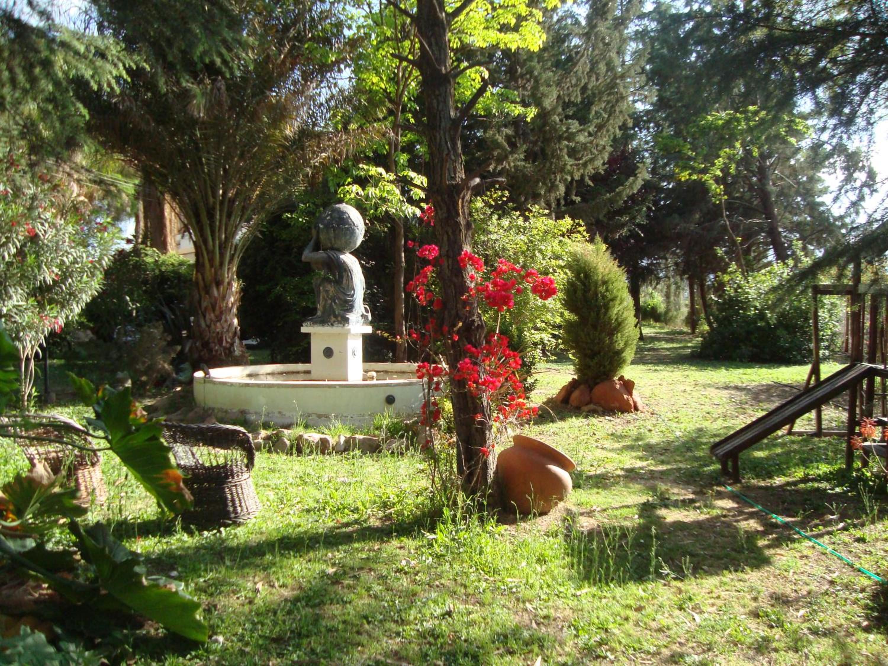 Cabañas Valle San Miguel