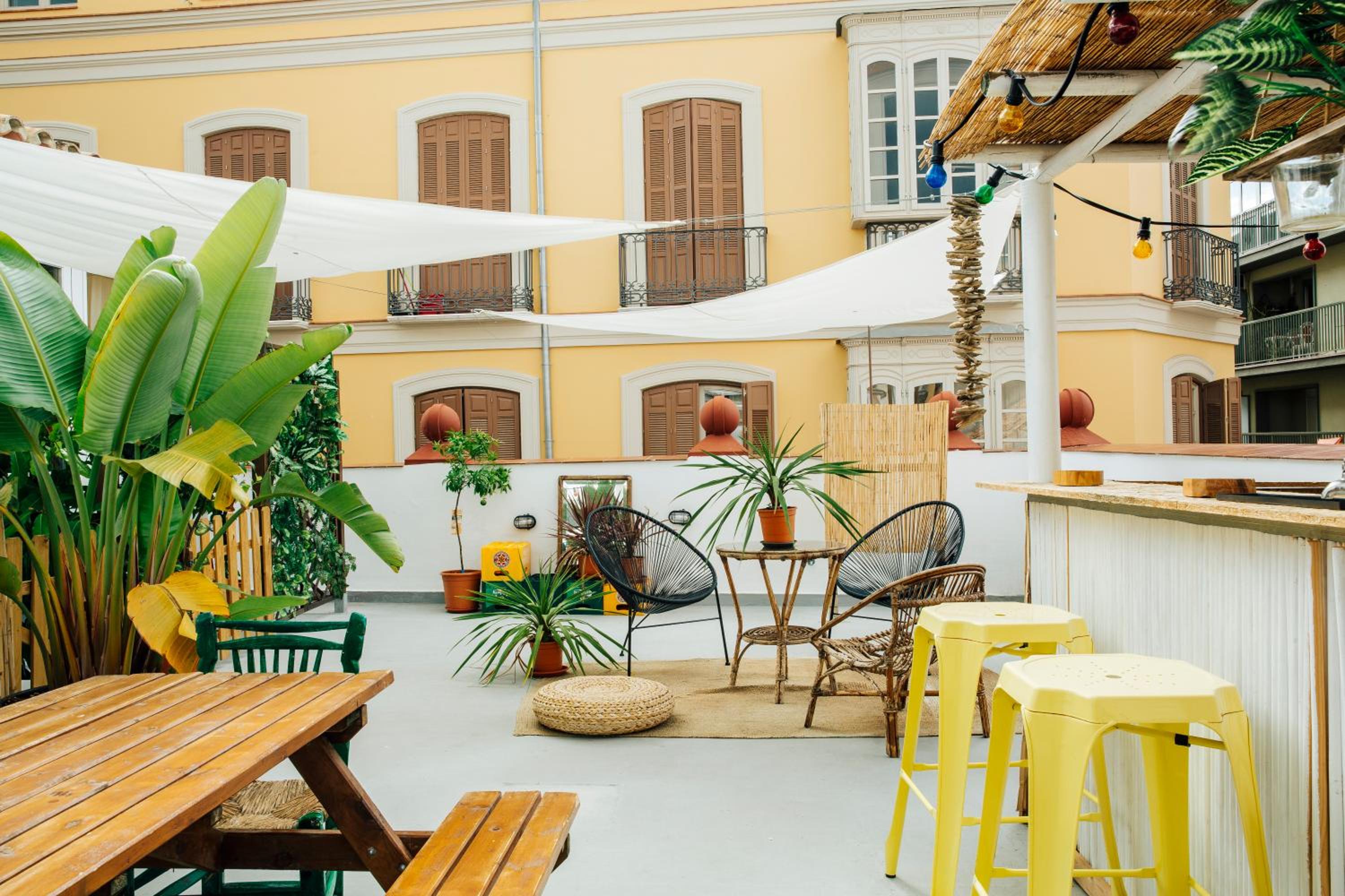 The Urban Jungle Hostel