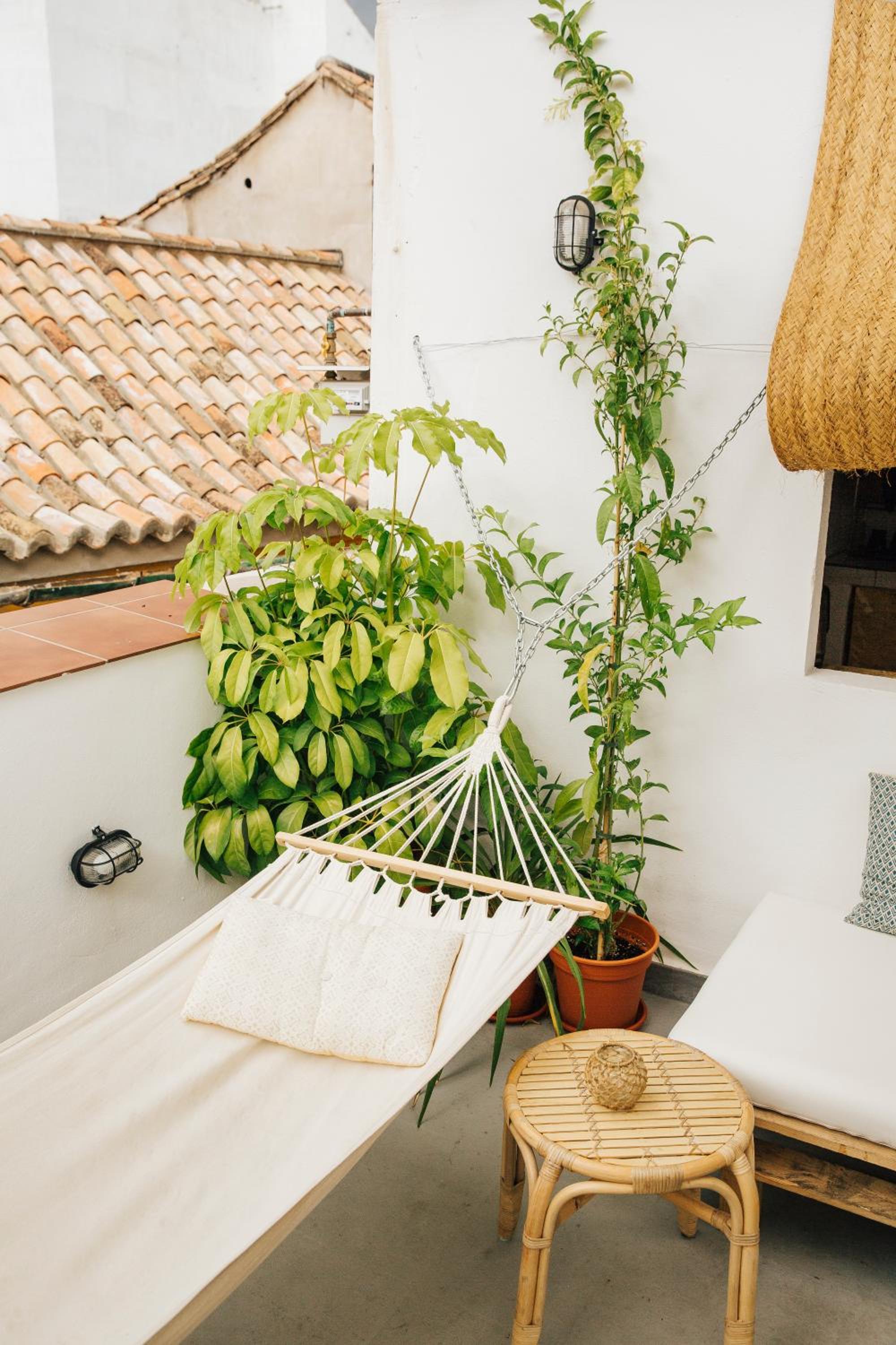 The Urban Jungle Hostel