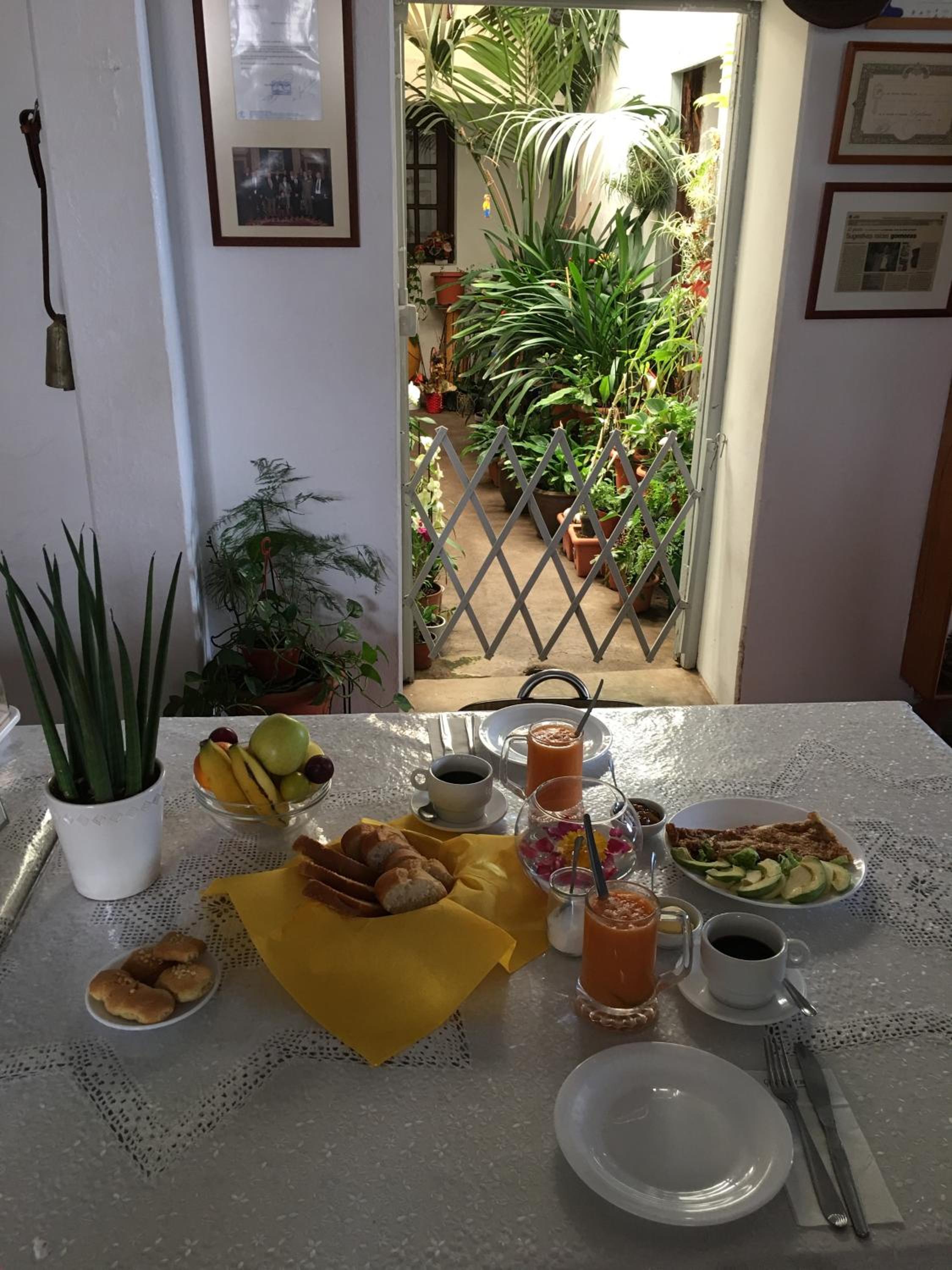 Jardin Las Hayas