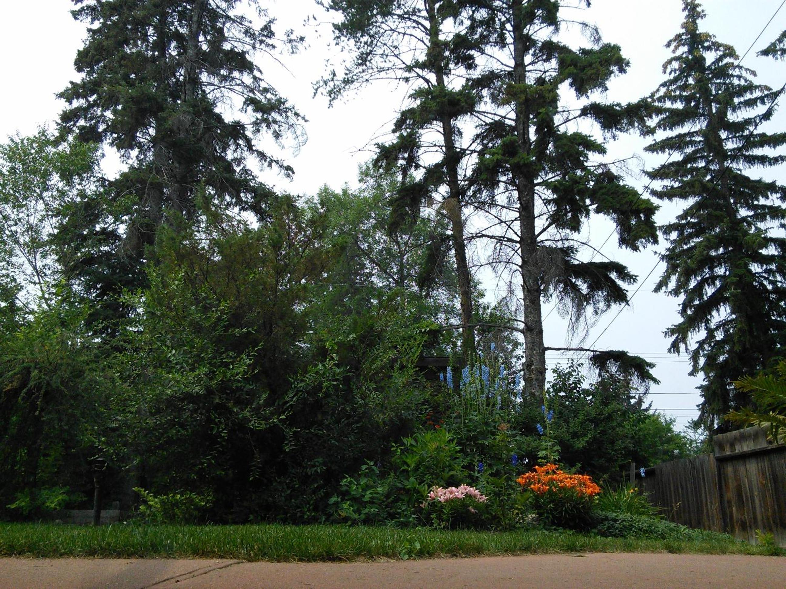 Photo 29