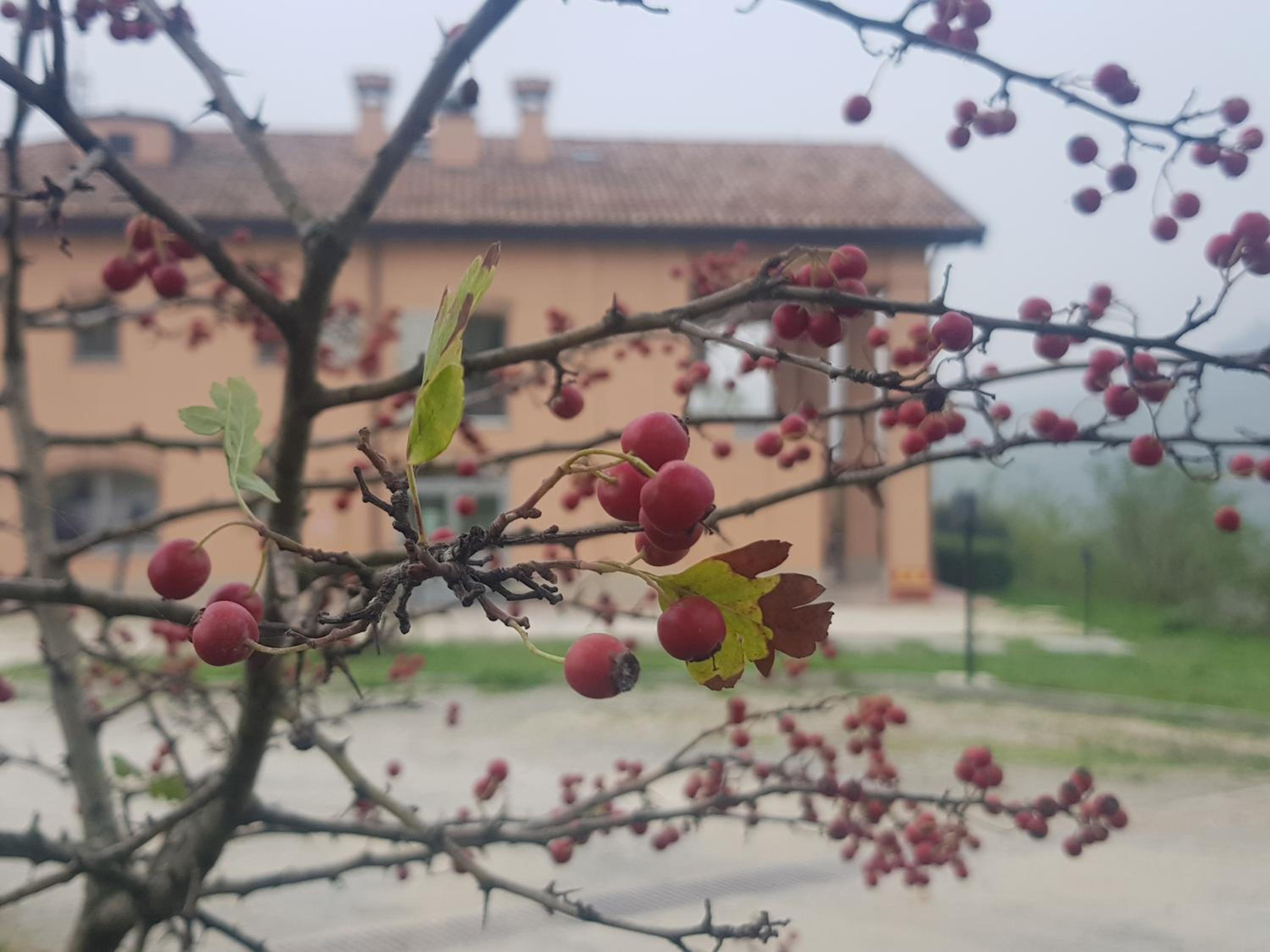 Agriturismo Ben Ti Voglio