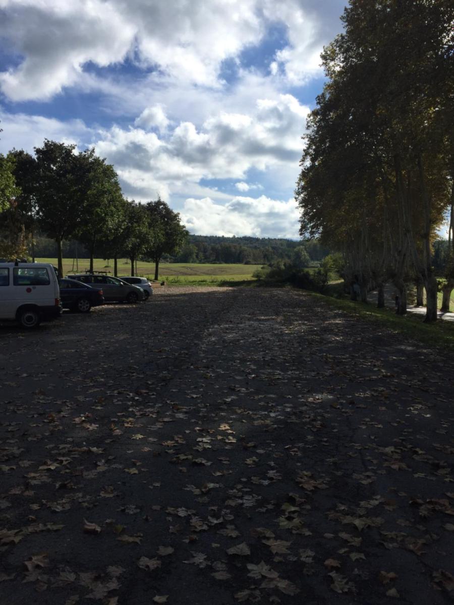 Photo 39