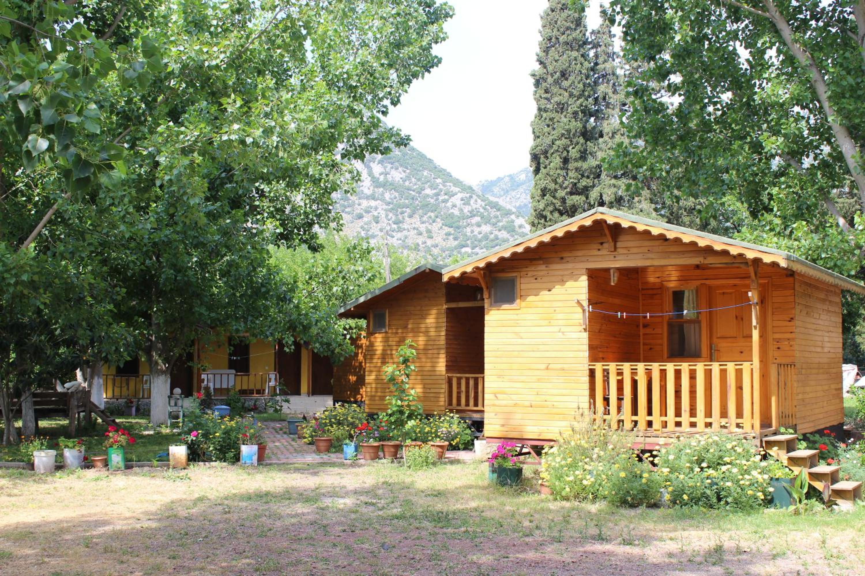 Photo 15