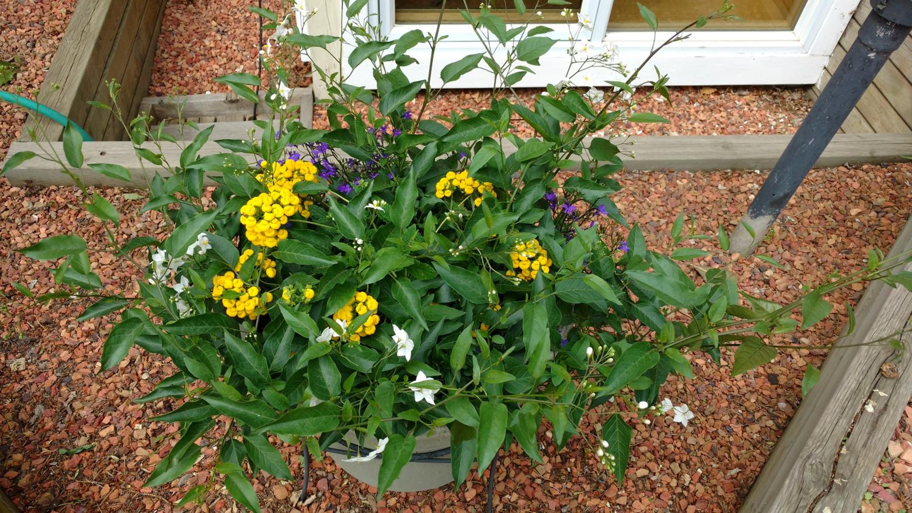 Photo 28