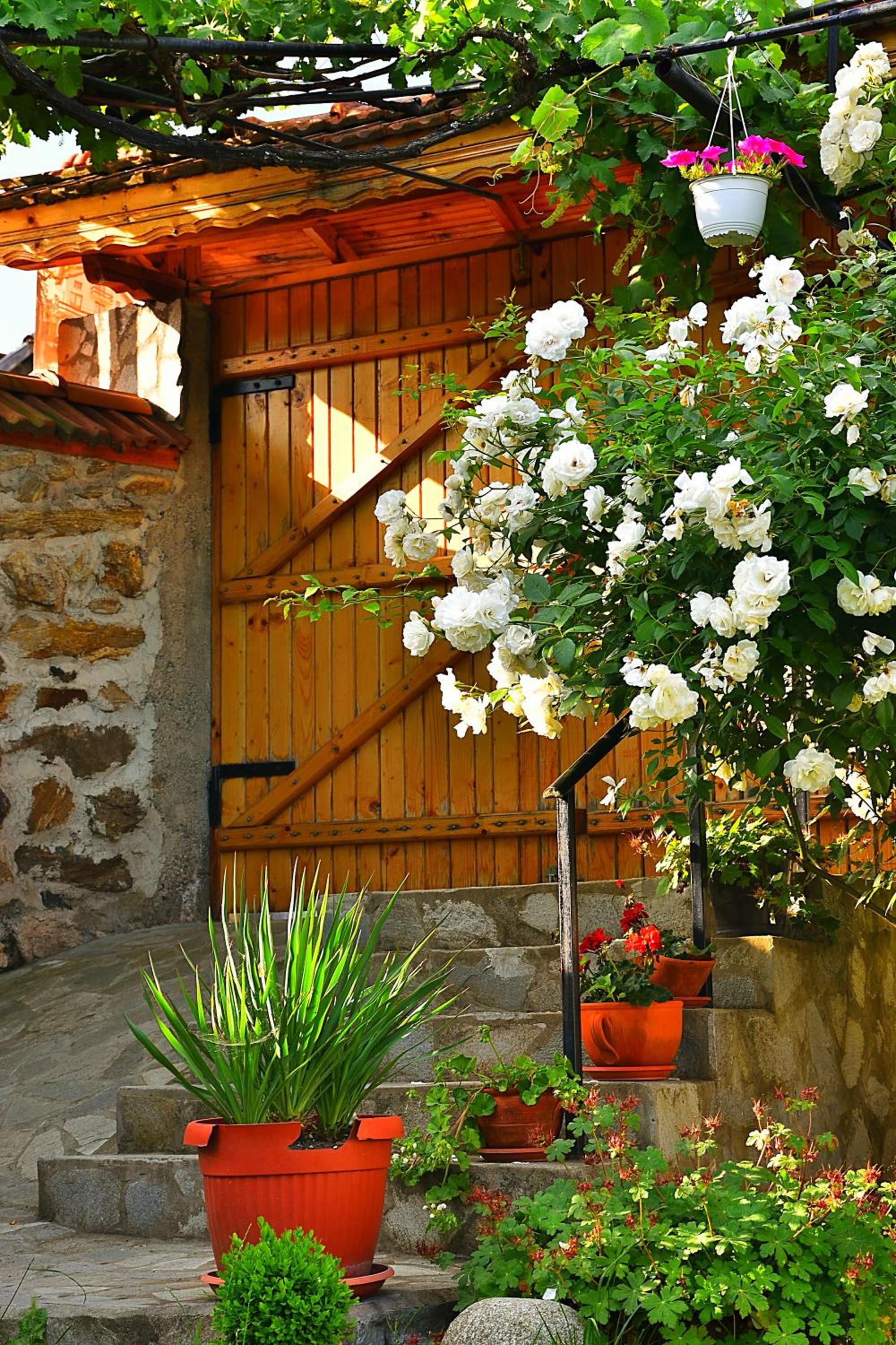 Guesthouse Argacho