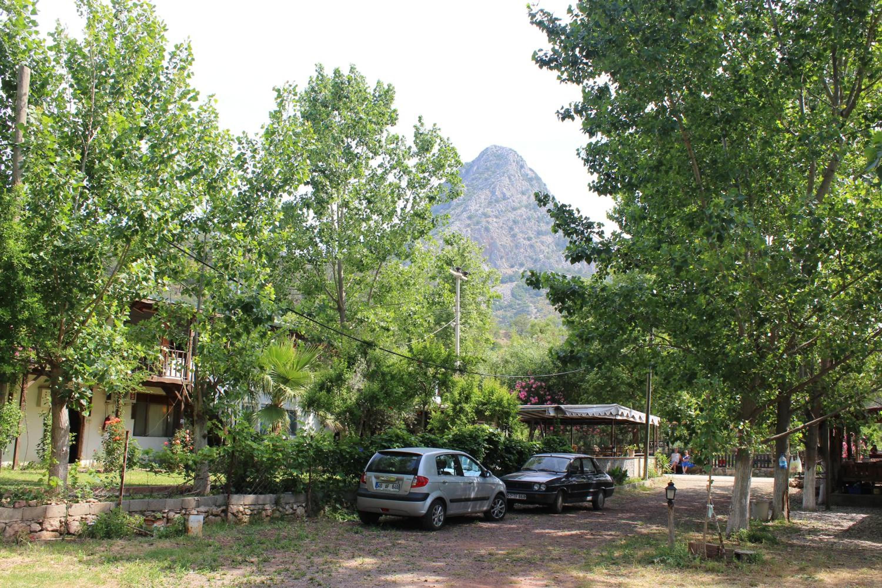 Photo 31