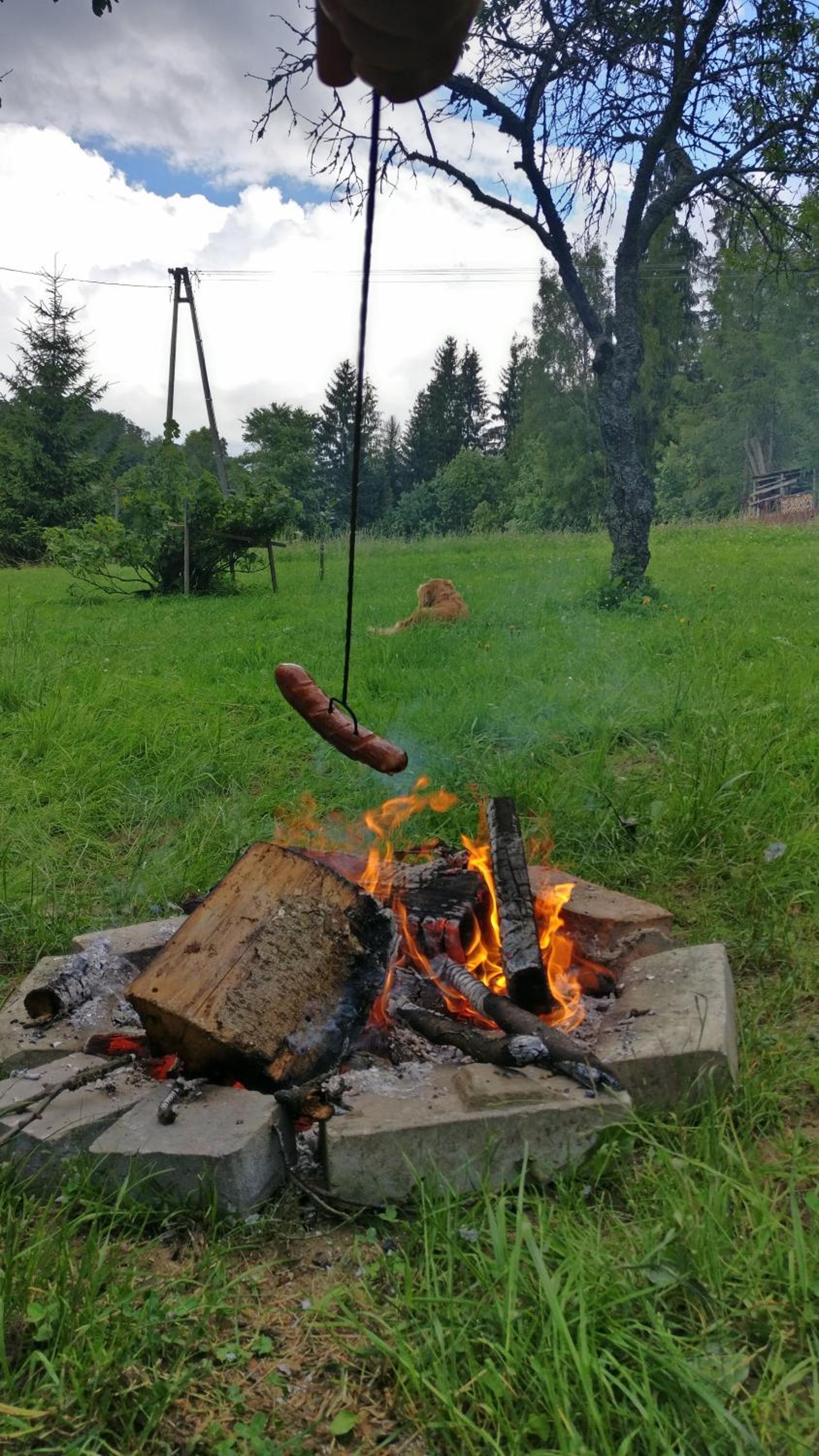 Photo 13